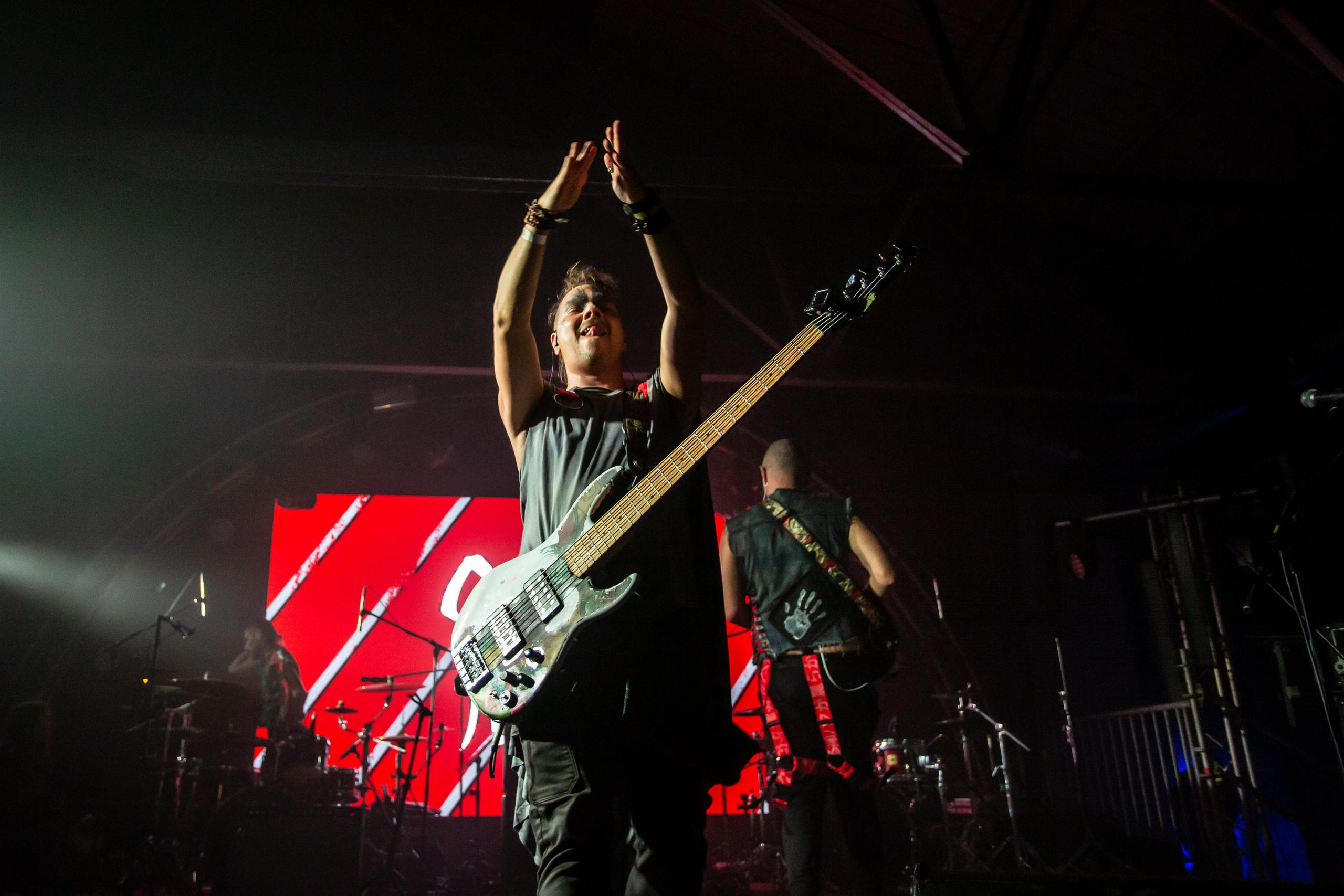 СКВОРЦЫ СТЕПАНОВА (ЖИВОЙ). Фотограф Сонкина Татьяна