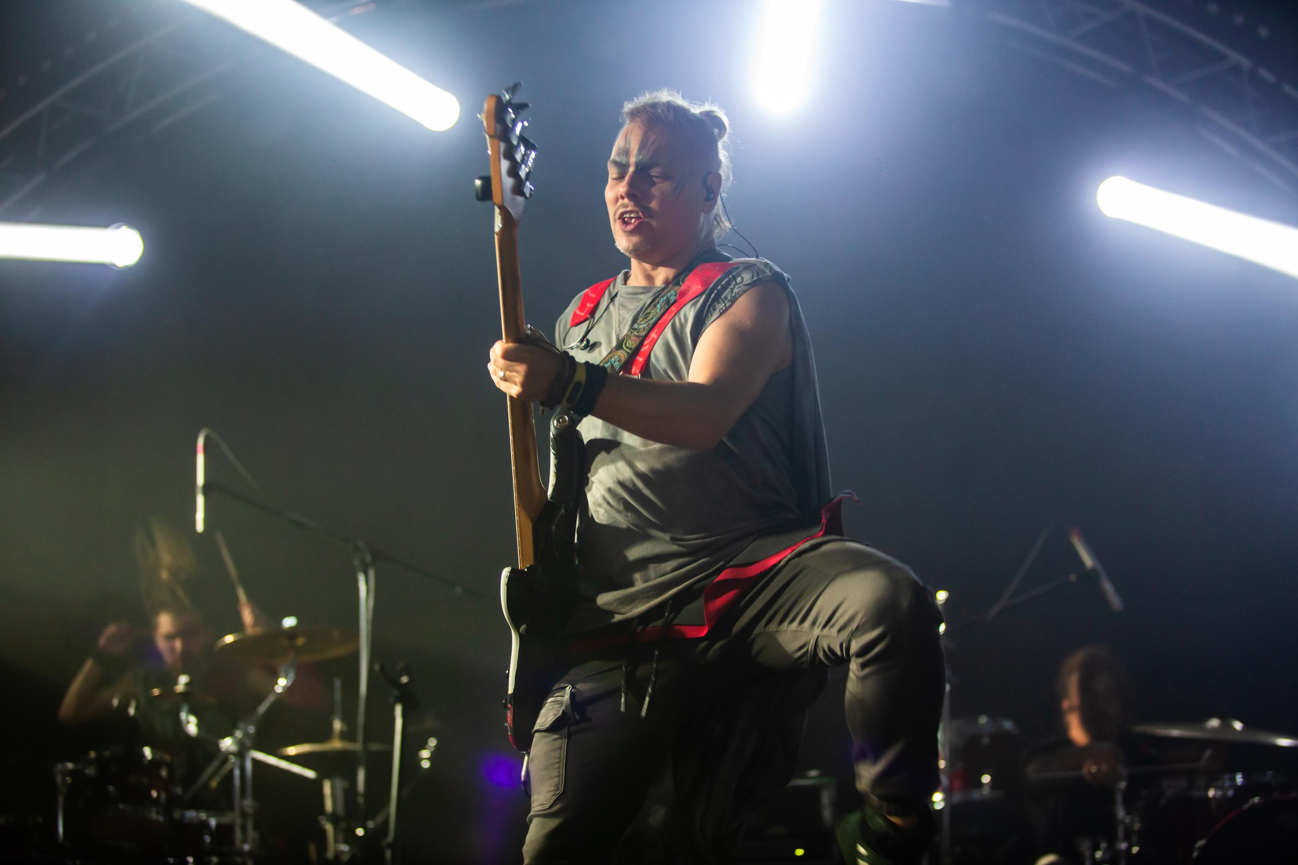 СКВОРЦЫ СТЕПАНОВА (ЖИВОЙ). Фотограф Сонкина Татьяна