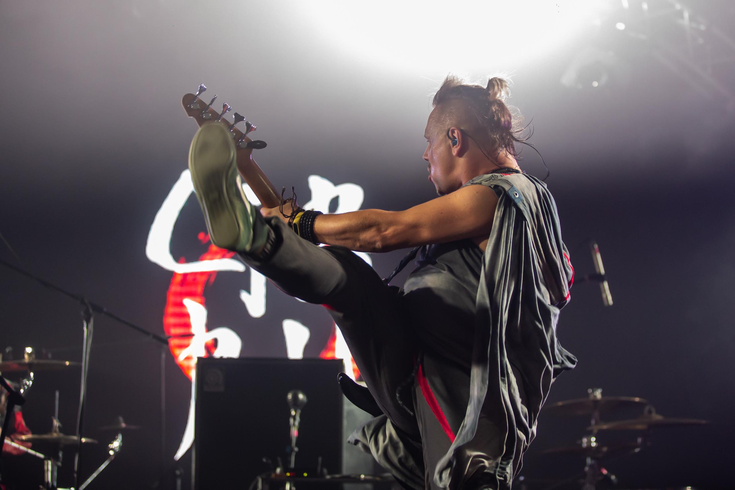 СКВОРЦЫ СТЕПАНОВА (ЖИВОЙ). Фотограф Сонкина Татьяна