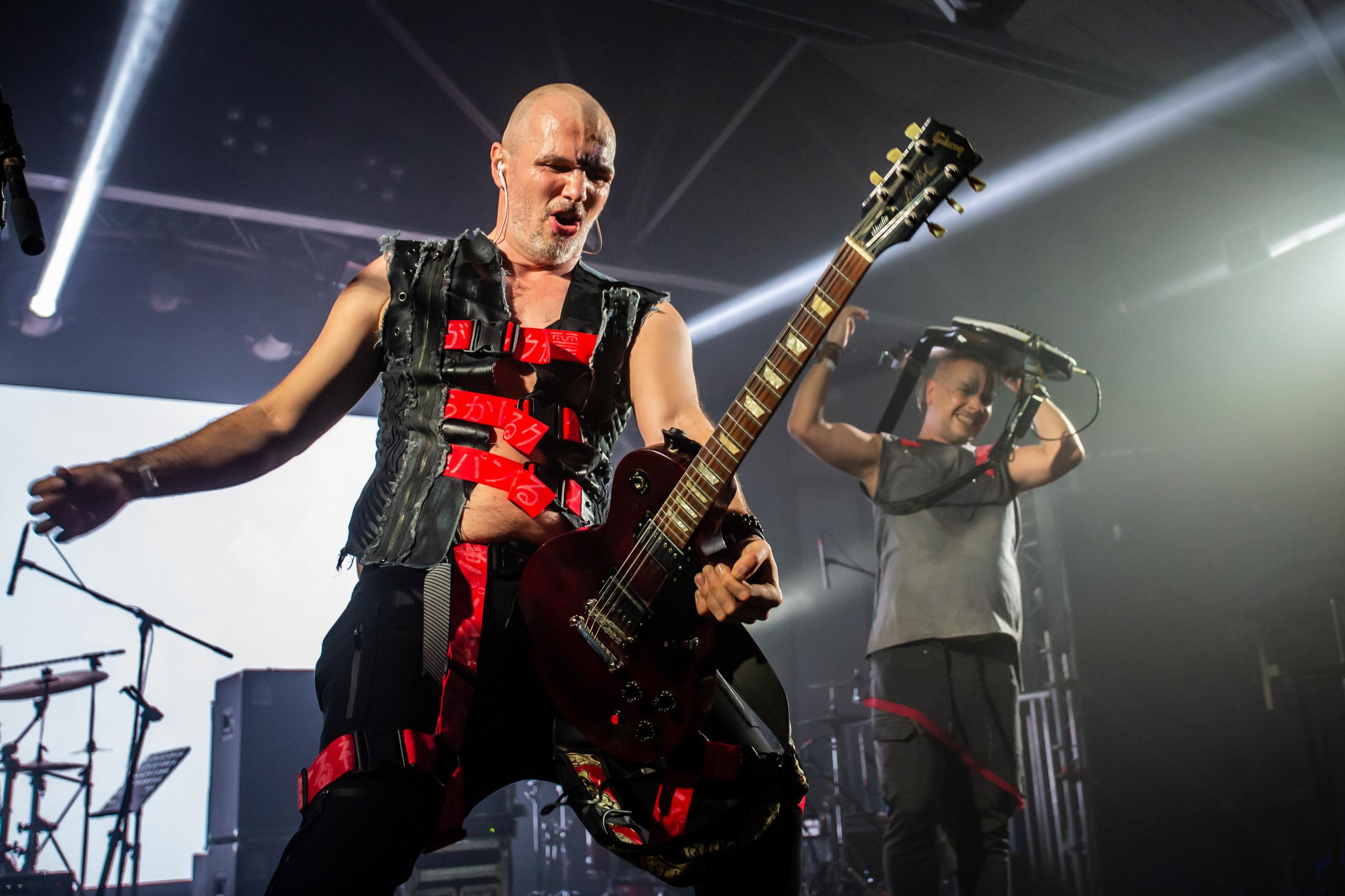 СКВОРЦЫ СТЕПАНОВА (ЖИВОЙ). Фотограф Сонкина Татьяна