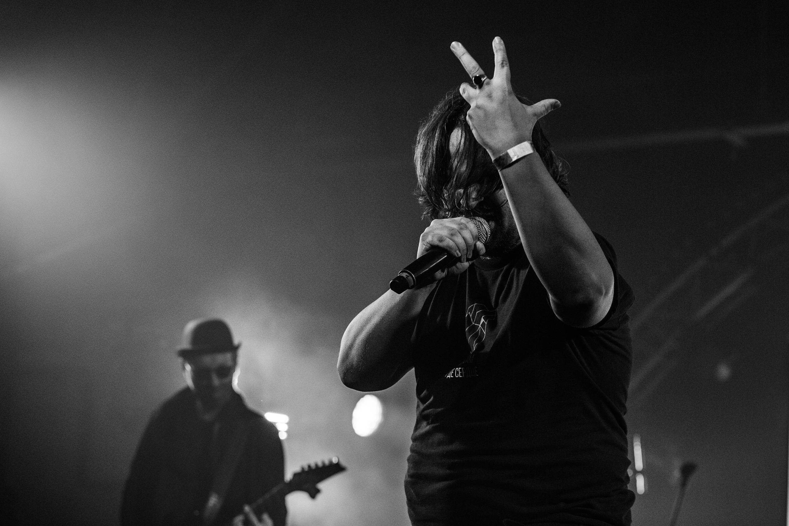 Para bellvm (ЖИВОЙ). Фотограф Сонкина Татьяна