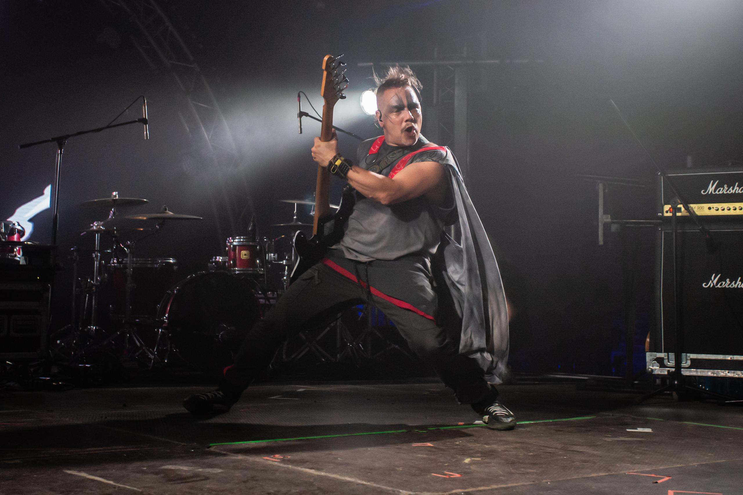 СКВОРЦЫ СТЕПАНОВА (ЖИВОЙ). Фотограф Сонкина Татьяна