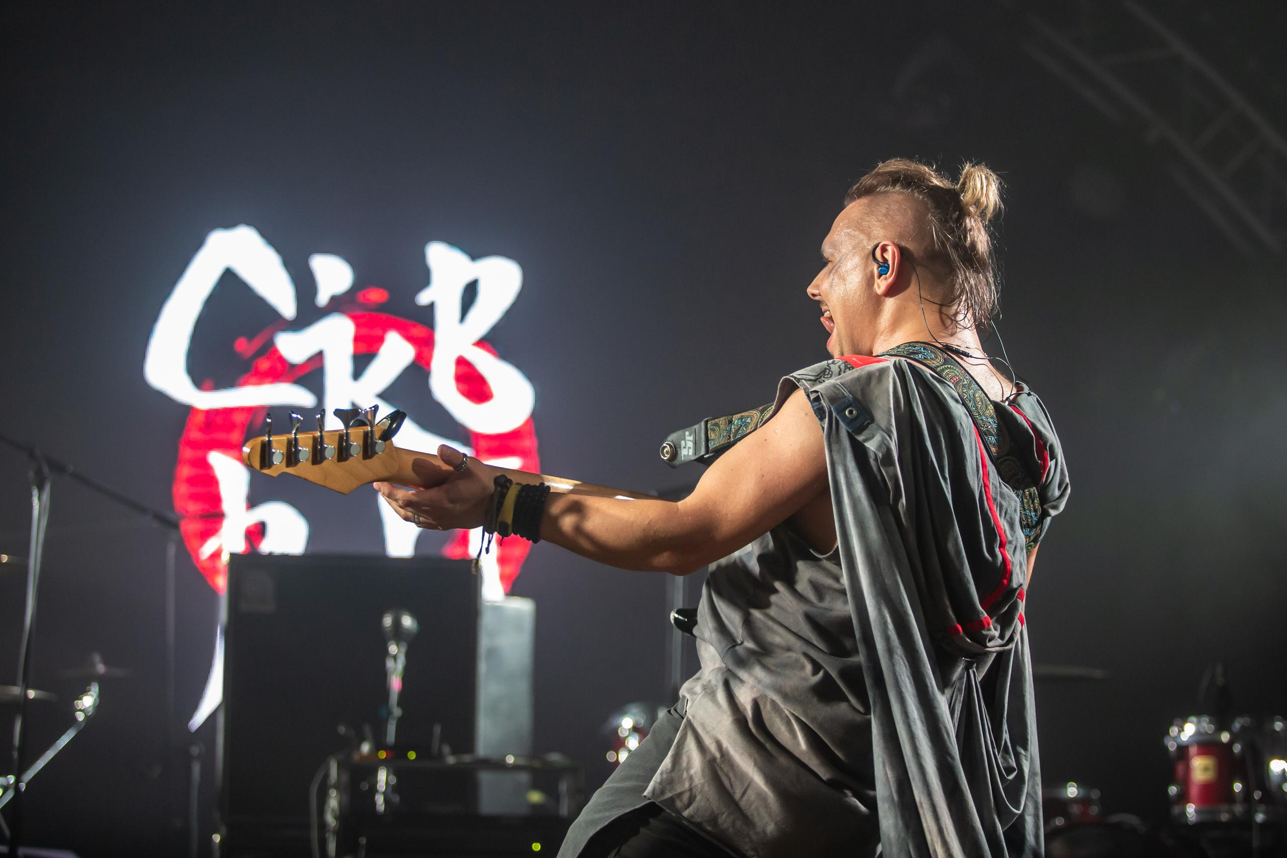 СКВОРЦЫ СТЕПАНОВА (ЖИВОЙ). Фотограф Сонкина Татьяна