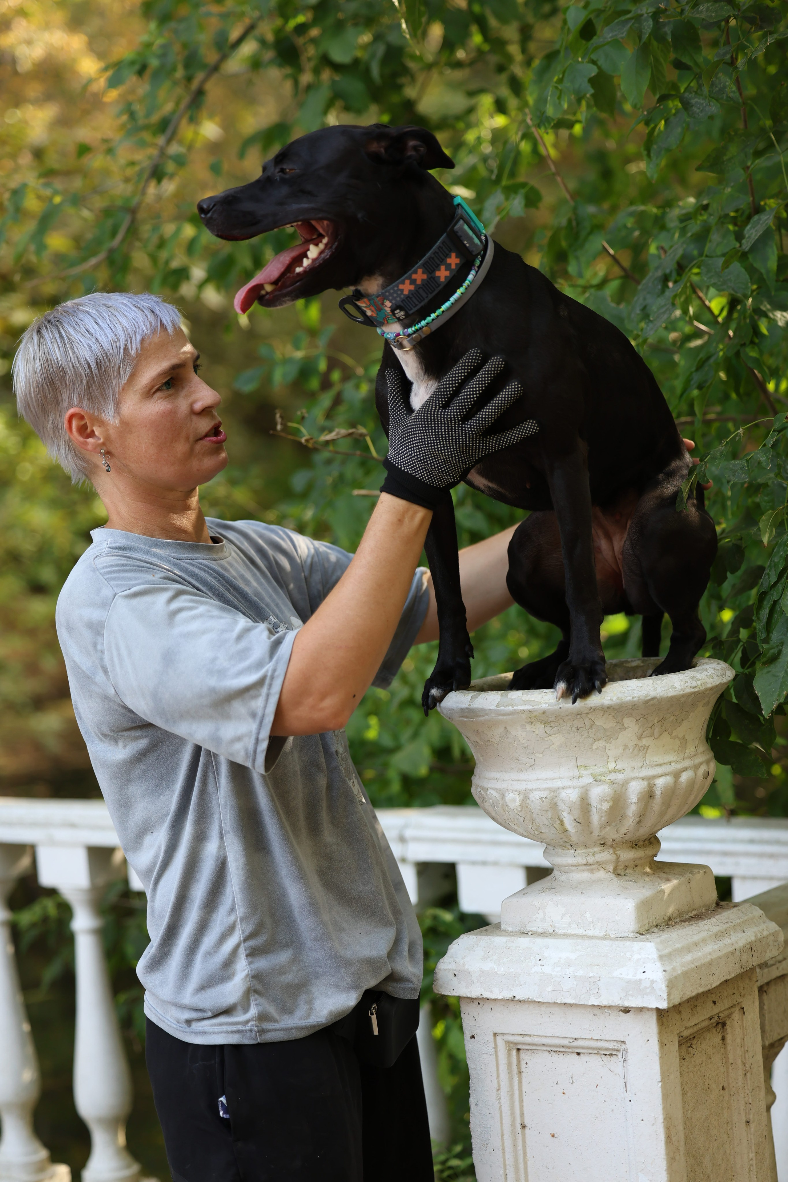 Алена и Бора. Виктория Михайловская. Фотограф-анималист. Москва