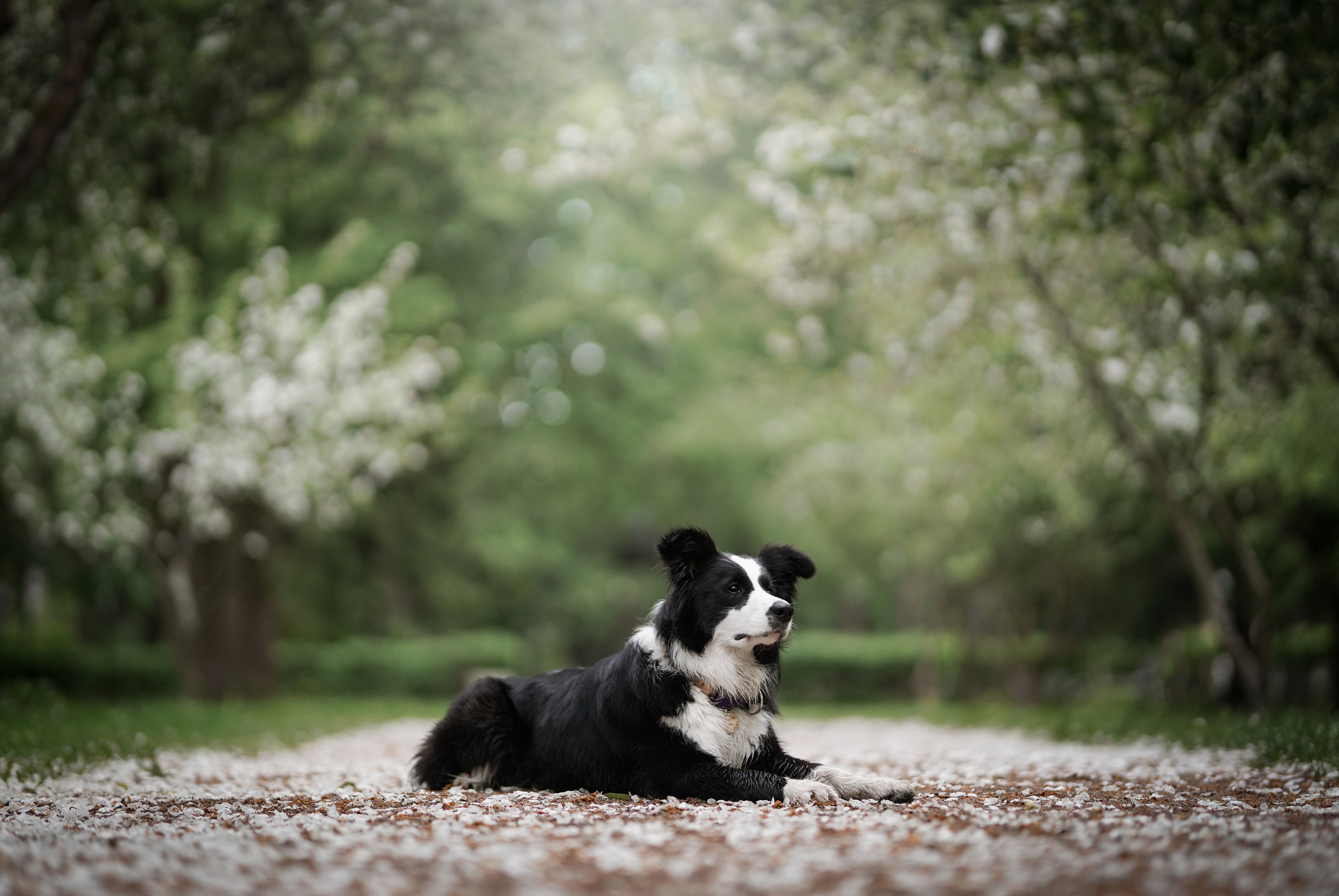 Юля, ее мама и Груша. Фотограф-анималист в Санкт-Петербурге Яна Мартынова