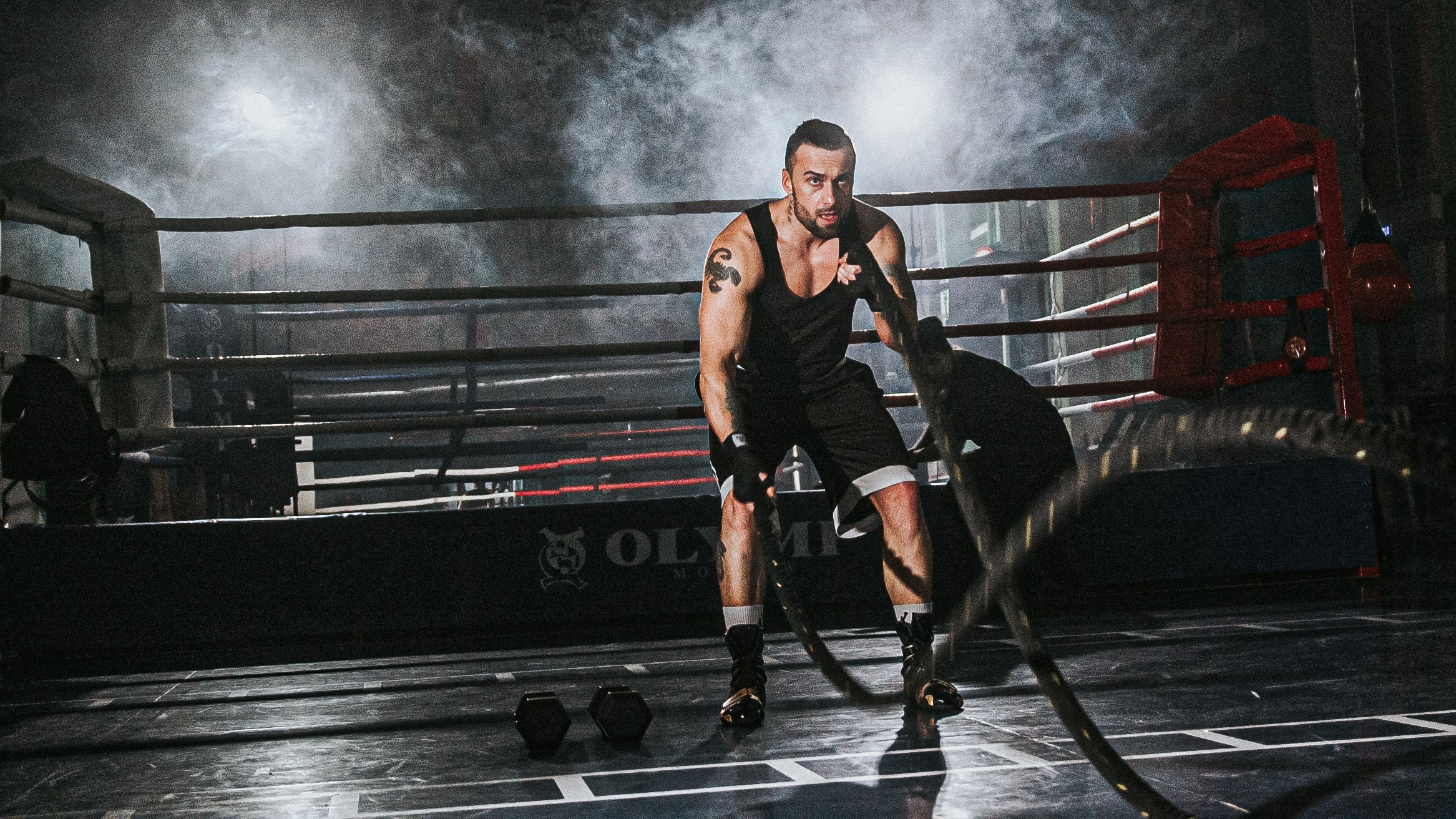 MF PROD. — BOX STAS. MOVIE FAMILY PRODUCTION