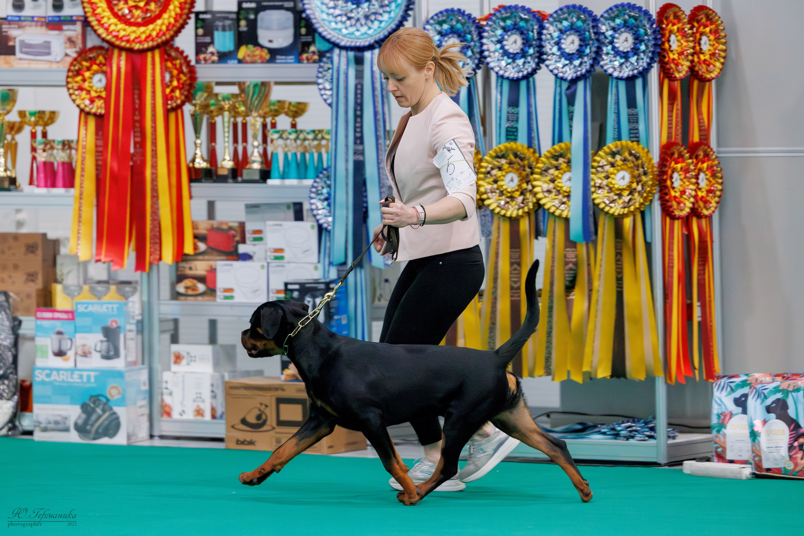 Сфера и Крокус 8,9,16 и 30.03.2025. Фотограф-анималист Юлия Германика