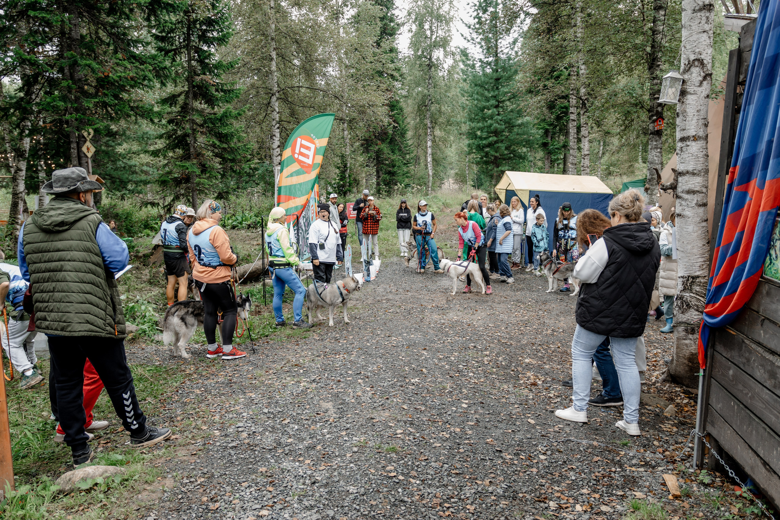 Дог-треккинг