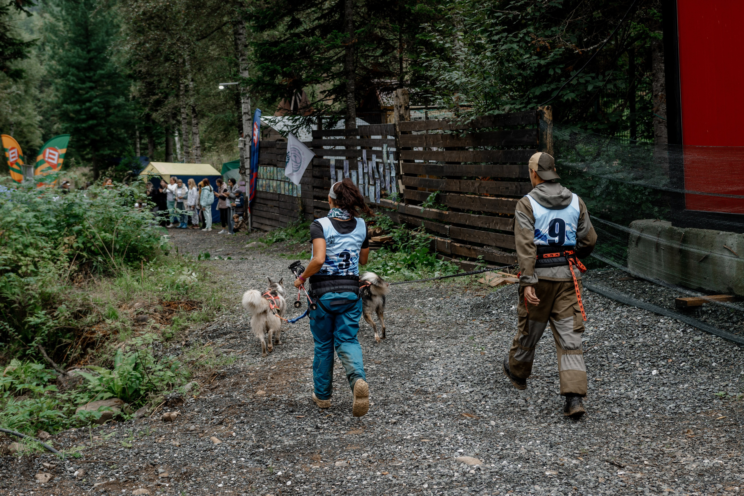 Дог-треккинг