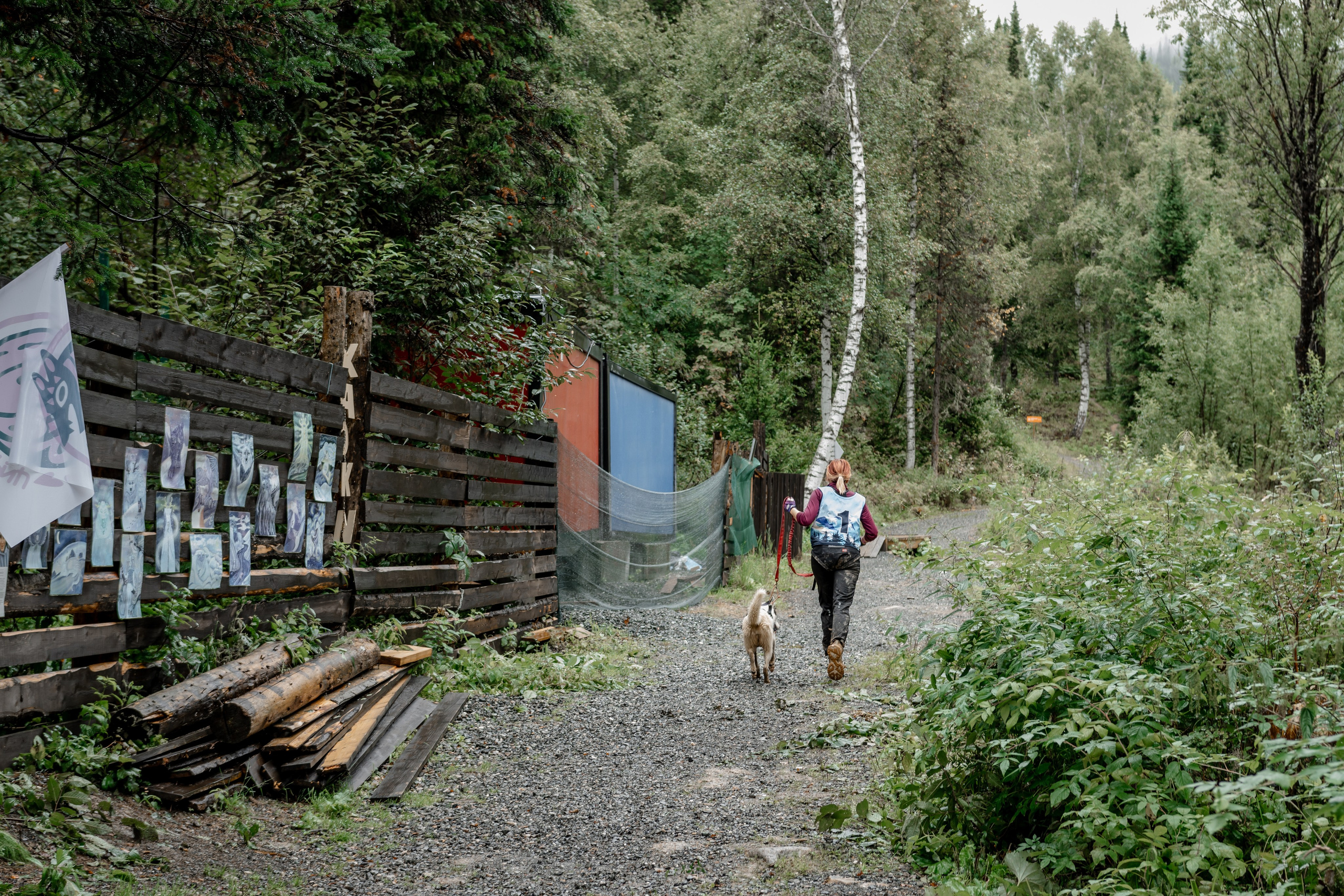 Дог-треккинг
