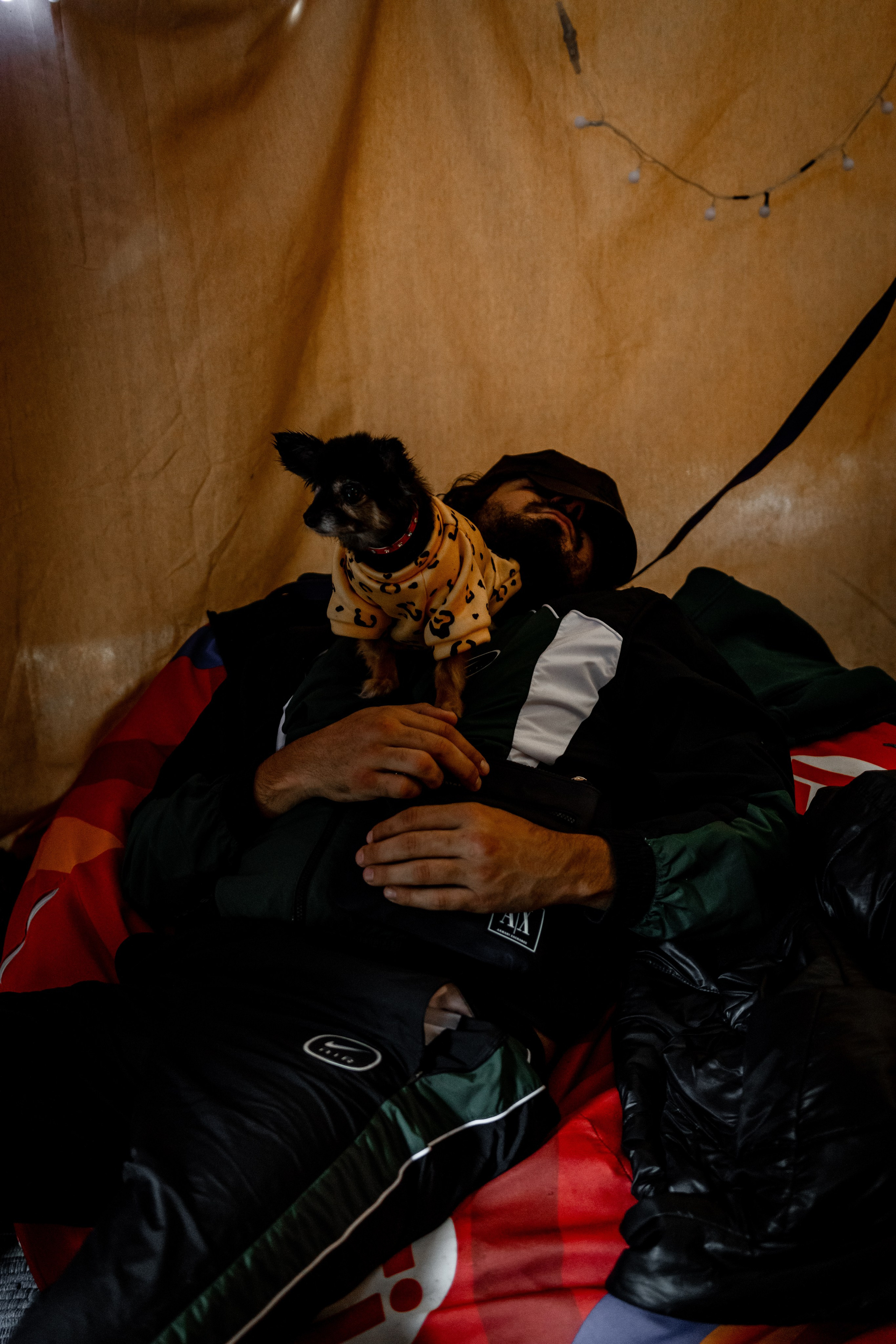 Дог-треккинг