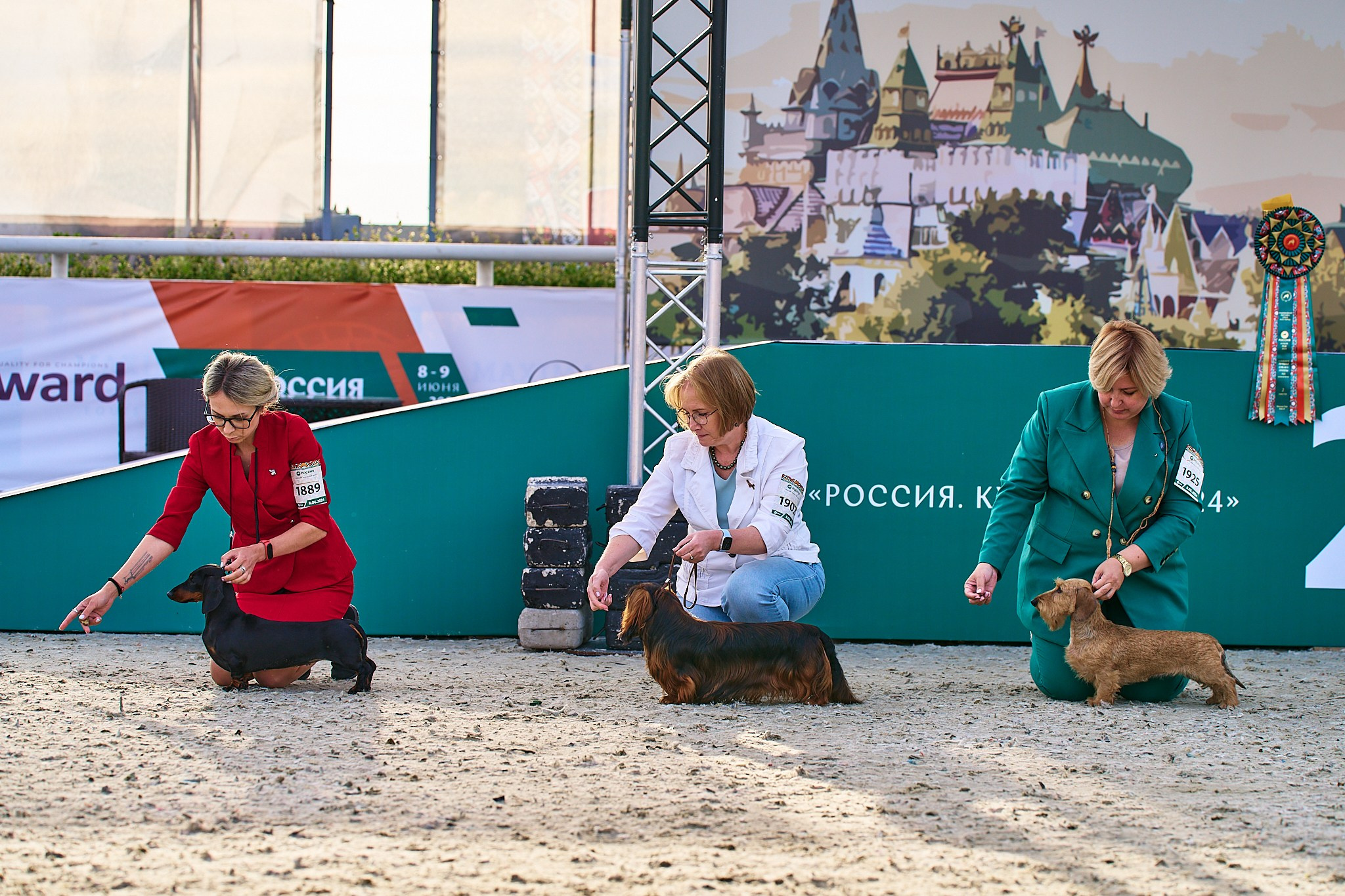 08.06.2024 «РОССИЯ. КУБОК РКФ 2024»
