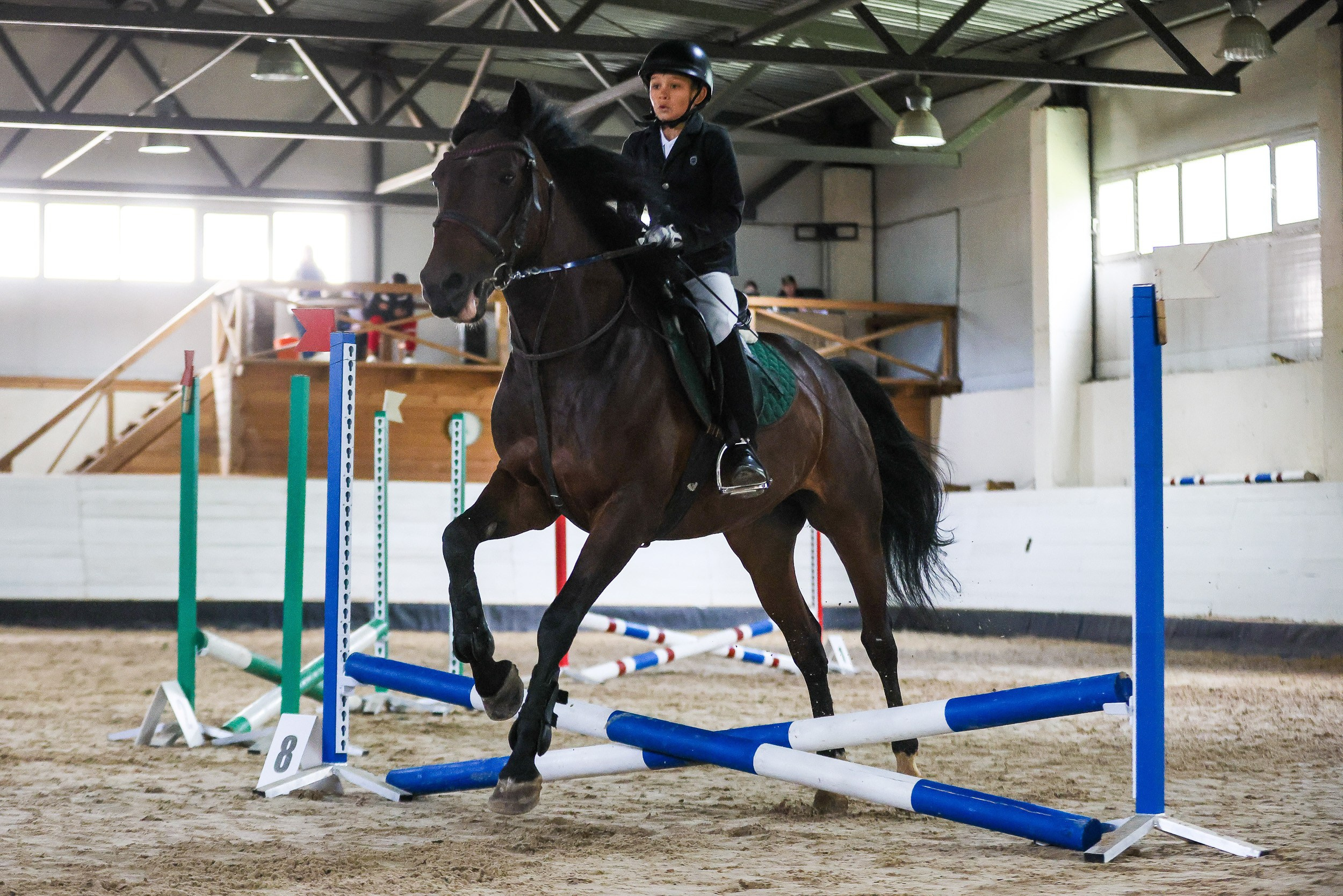 Конный спорт. Спортивный и корпоративный фотограф в Москве Олег Беспалов