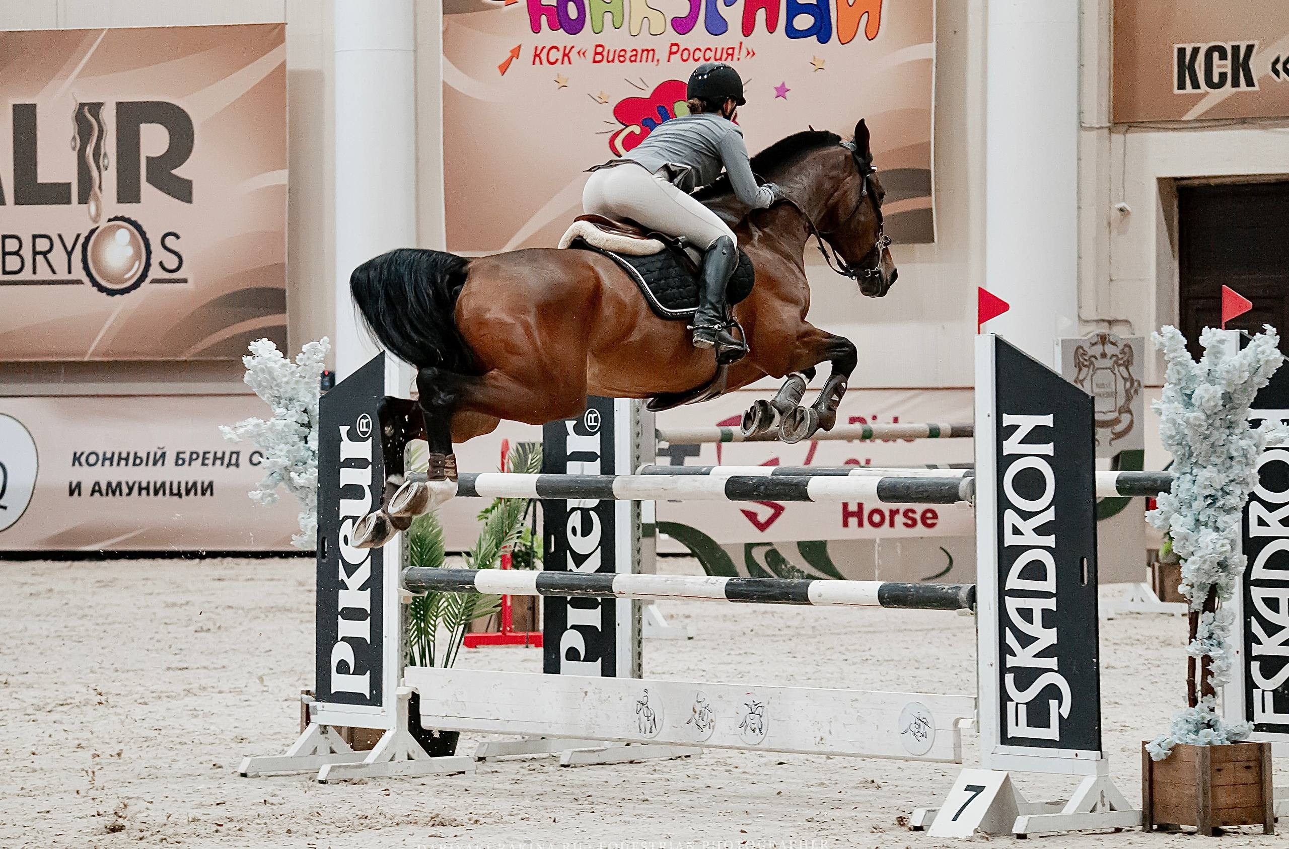 ЗИМНИЙ КУБОК ФЕДЕРАЦИИ КОННОГО СПОРТА ГОРОДА МОСКВЫ. Куракина Дарья • Конный фотограф