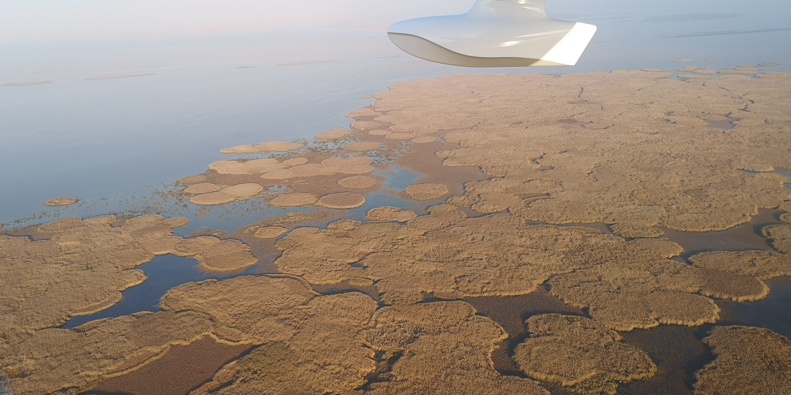 Каспийское море (наука на Ла-8) (2021 г.). Фотоальбом показывающий увлекательный мир авиации и мир медведей Андрея Иванова