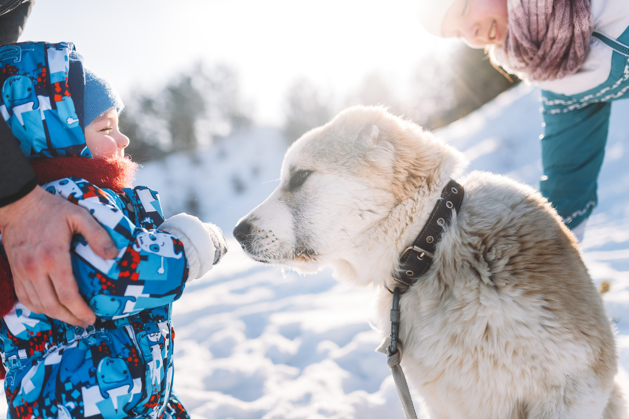 Зимняя фотосессия на улице. Свадебный и семейный фотограф в Минске Филиппович Александр