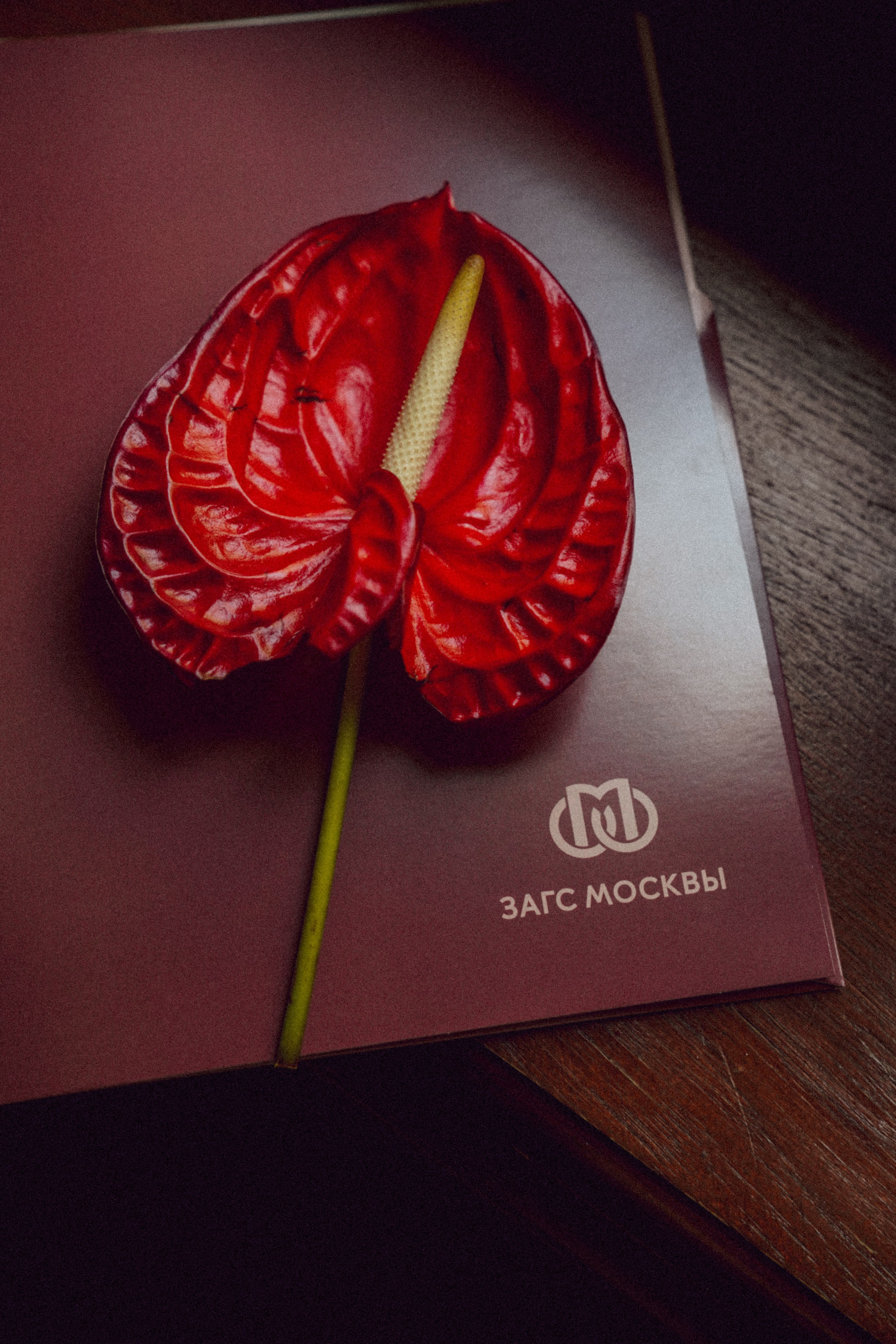 Александр и Дарья. Прогулка. (+ пленка). Свадебный и семейный фотограф Ястребова Маргарита