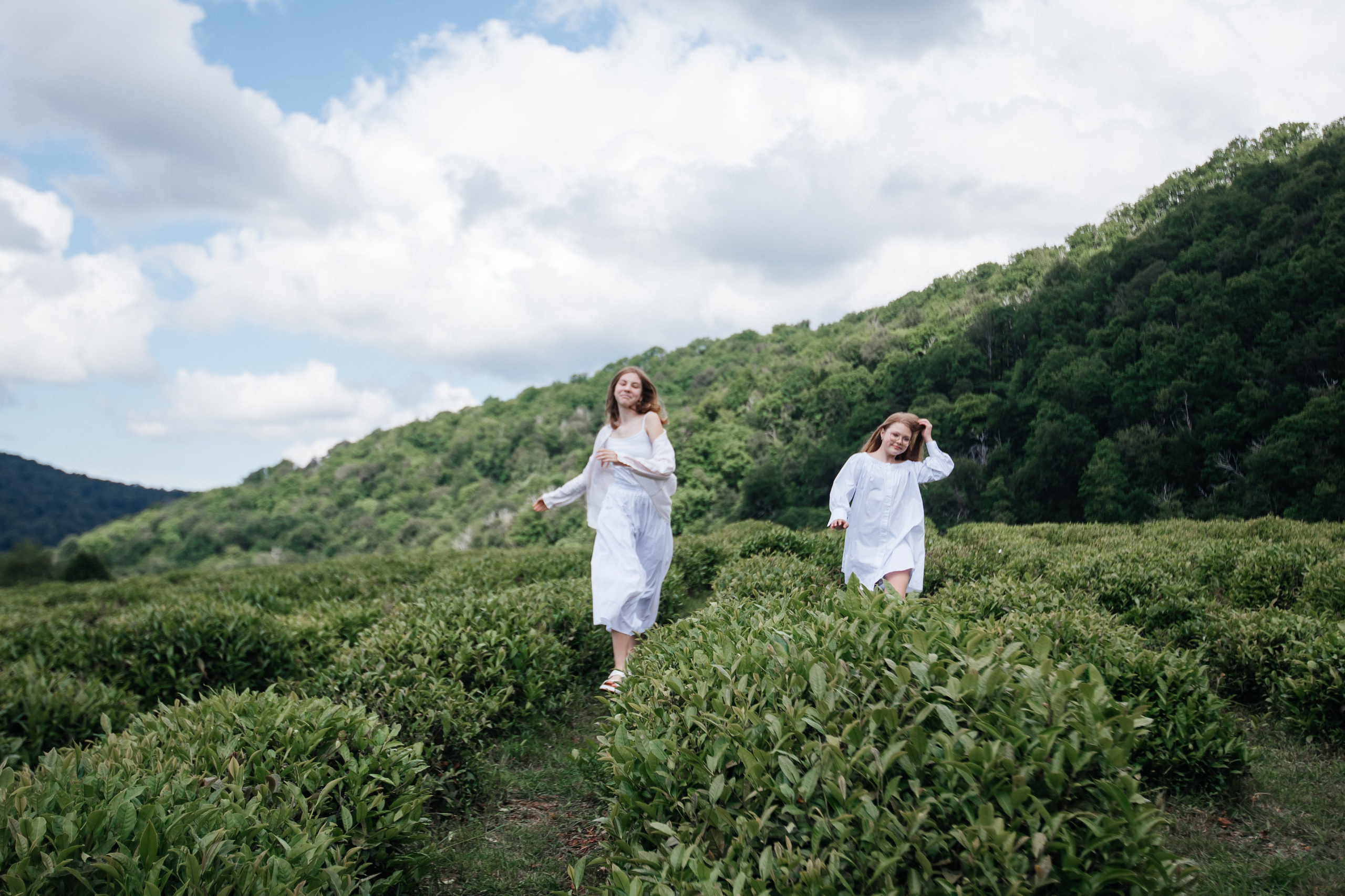 Tea plantation. Efimova Model Agency
