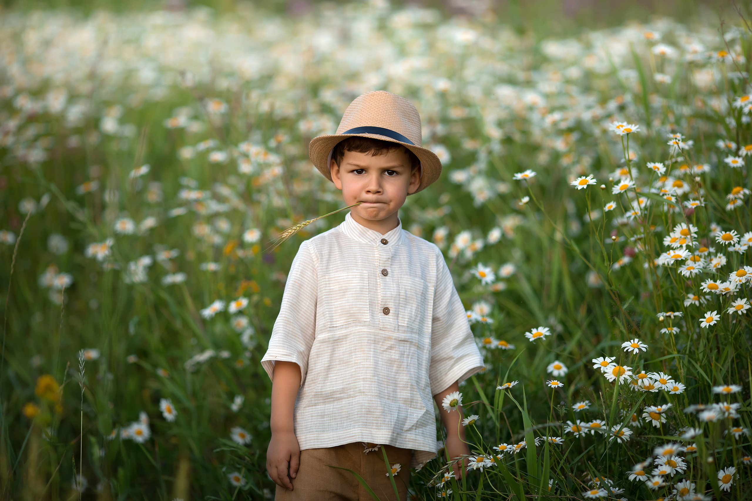 Лето. Главная