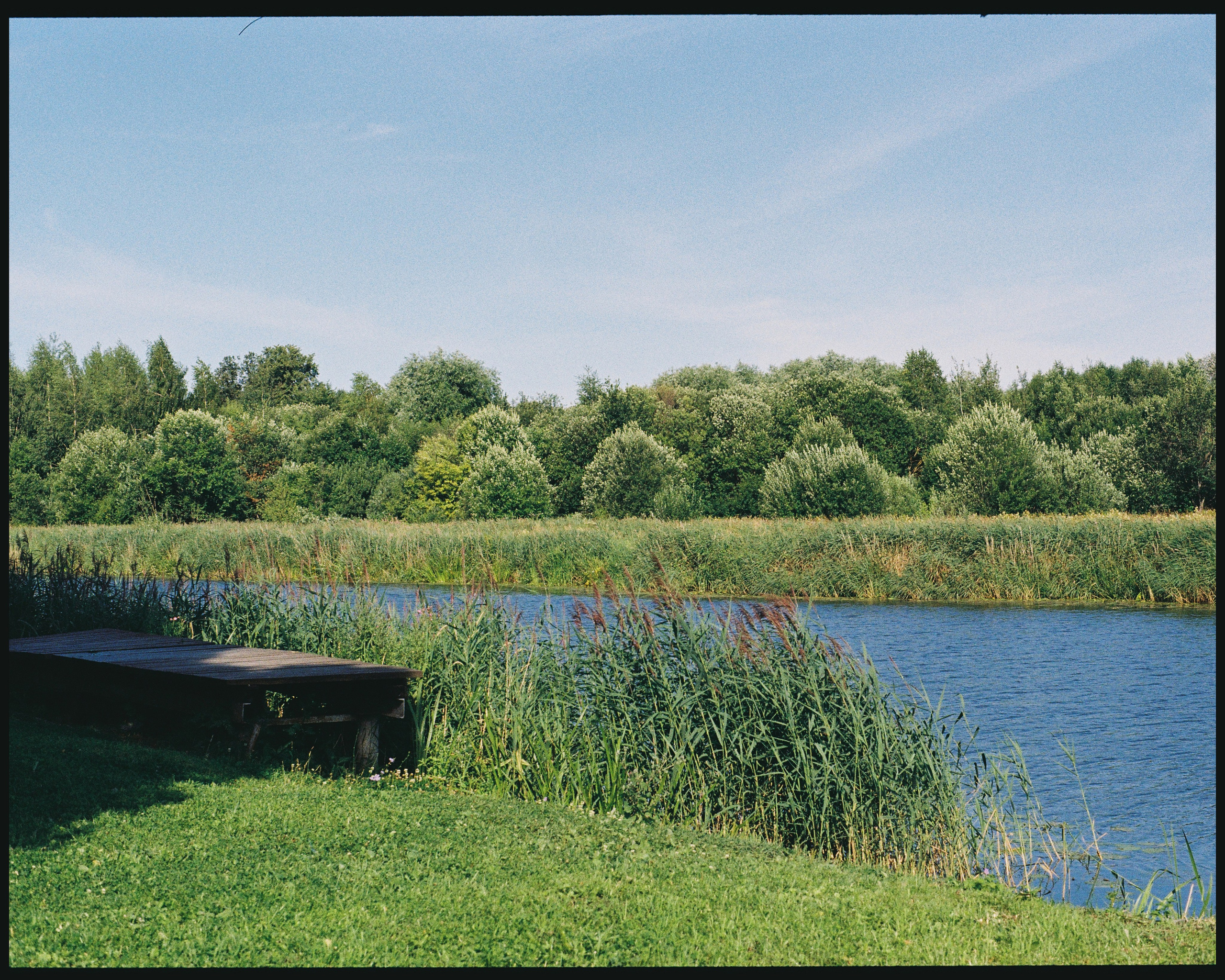 SUZDAL. ANNA — PHOTOGRAPHER