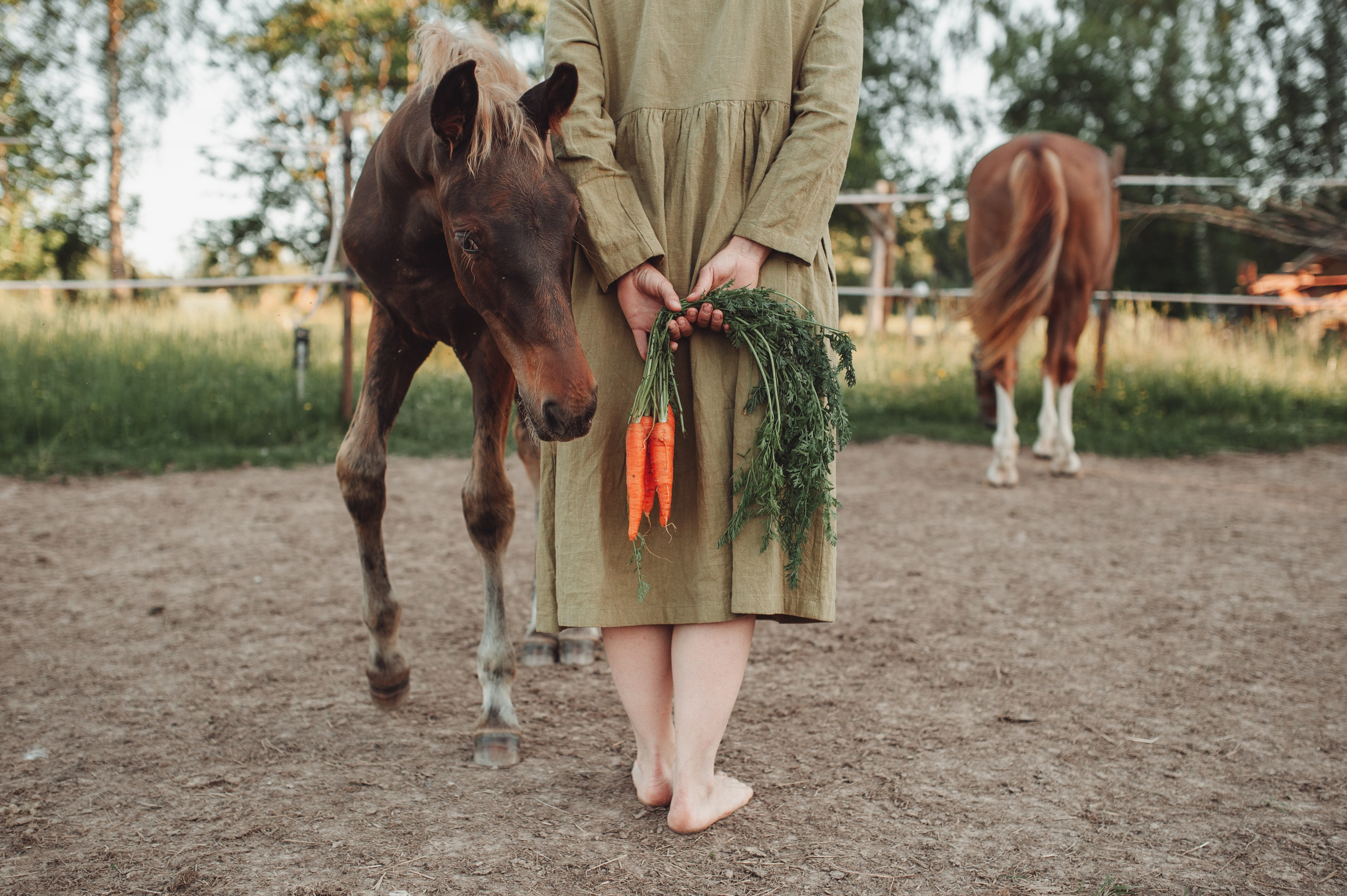 Семейный фотограф Клубкова Мария. Поместье Клу