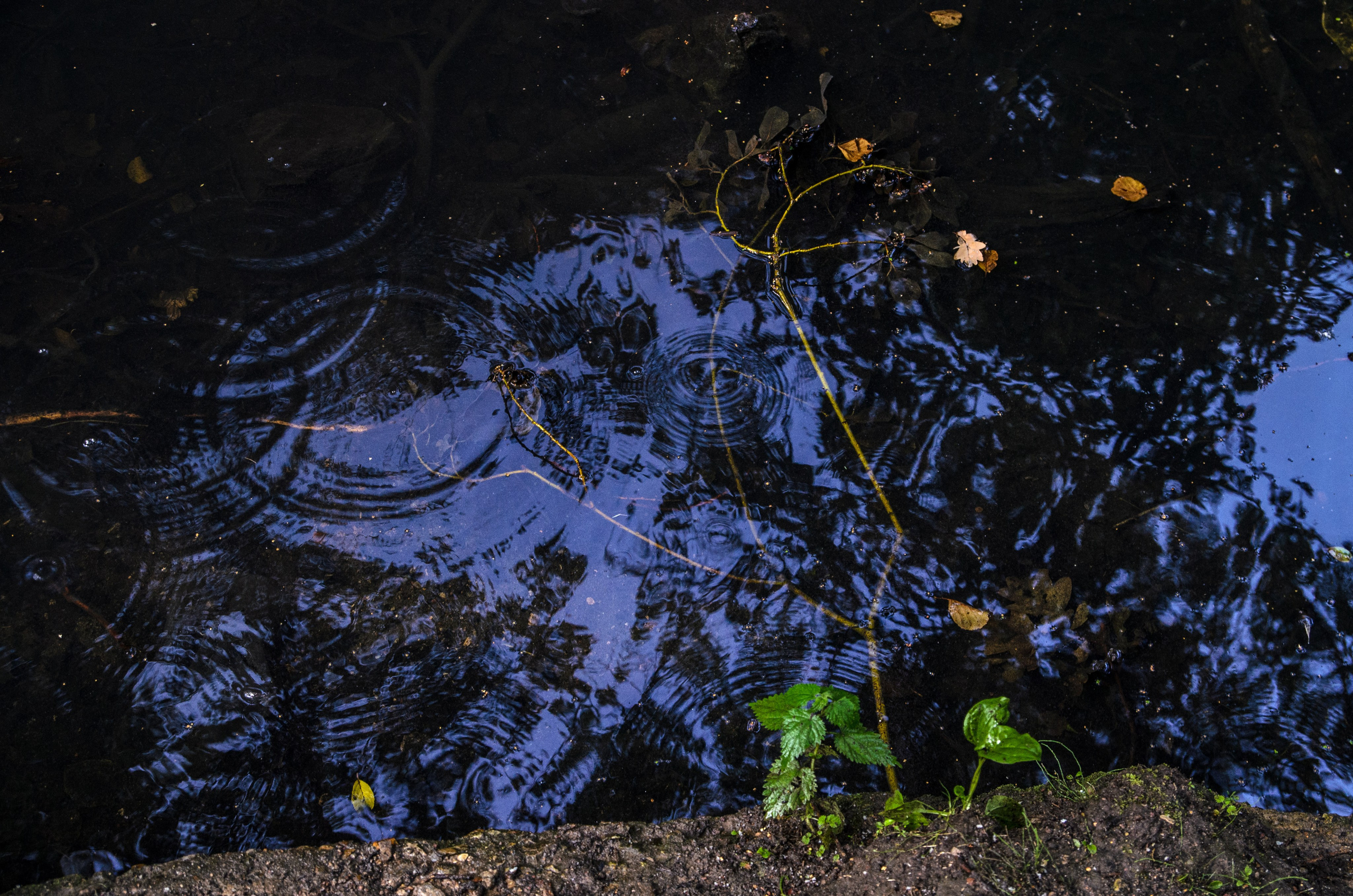 Интересное рядом. Фото, видео, монтаж