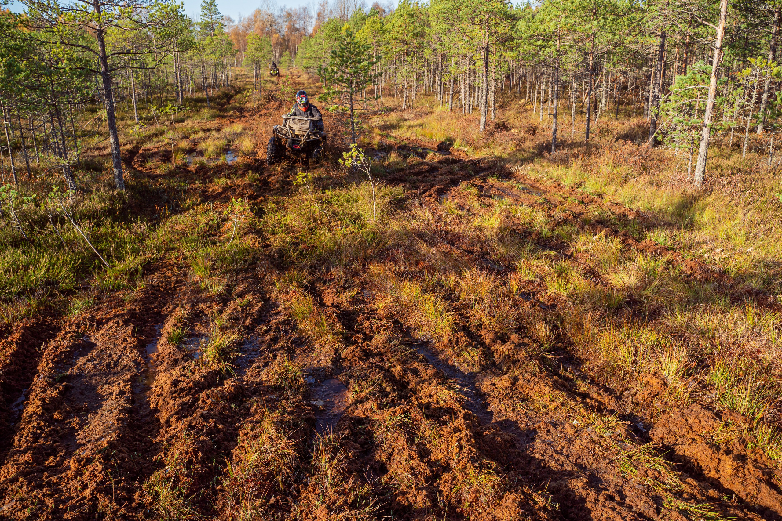 Спортивный репортажный фотограф Санкт-Петербург. Свадебный, семейный, портретный, репортажный фотограф в Санкт-Петербурге