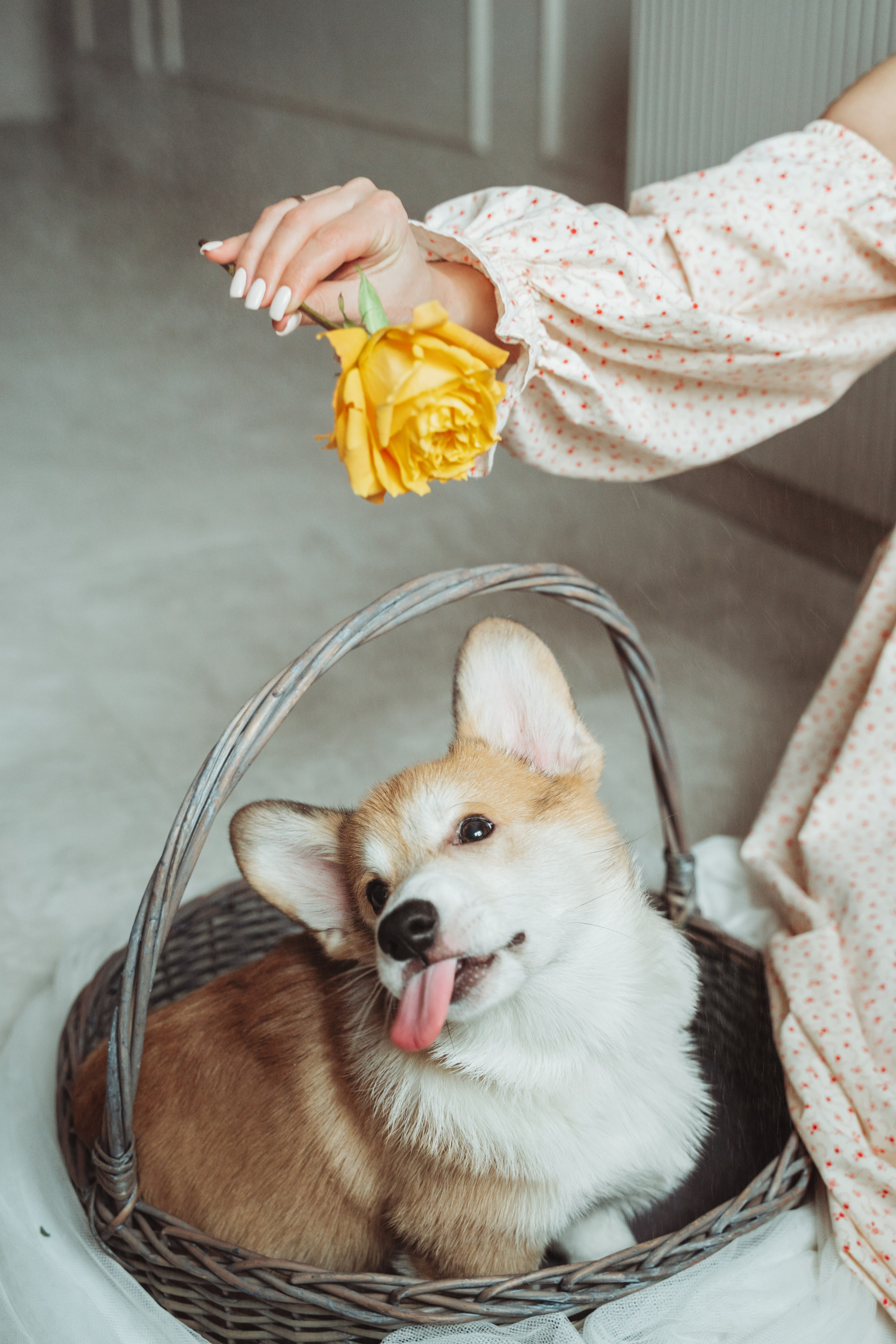 Портретный фотограф Санкт-Петербург. Свадебный, семейный, портретный, репортажный фотограф в Санкт-Петербурге