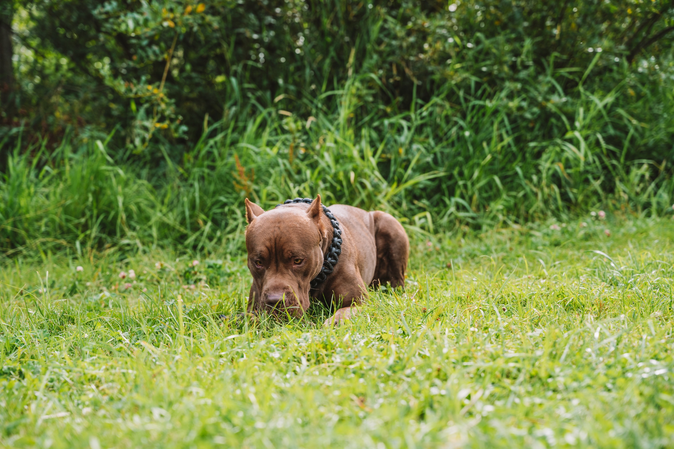 Лав стори фотограф Санкт-Петербург. Свадебный, семейный, портретный, репортажный фотограф в Санкт-Петербурге
