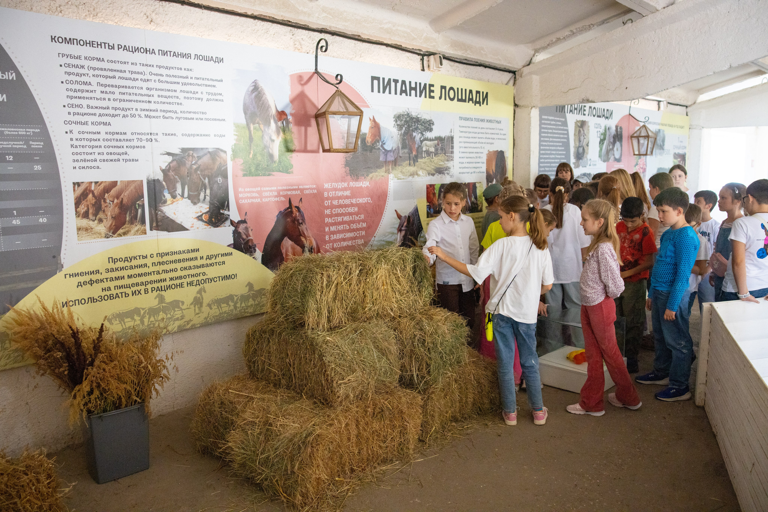 Поездка на поле Кулеково. Фотограф в Туле Крупский АнДРей. Фотостудия «КАДР71» в Туле