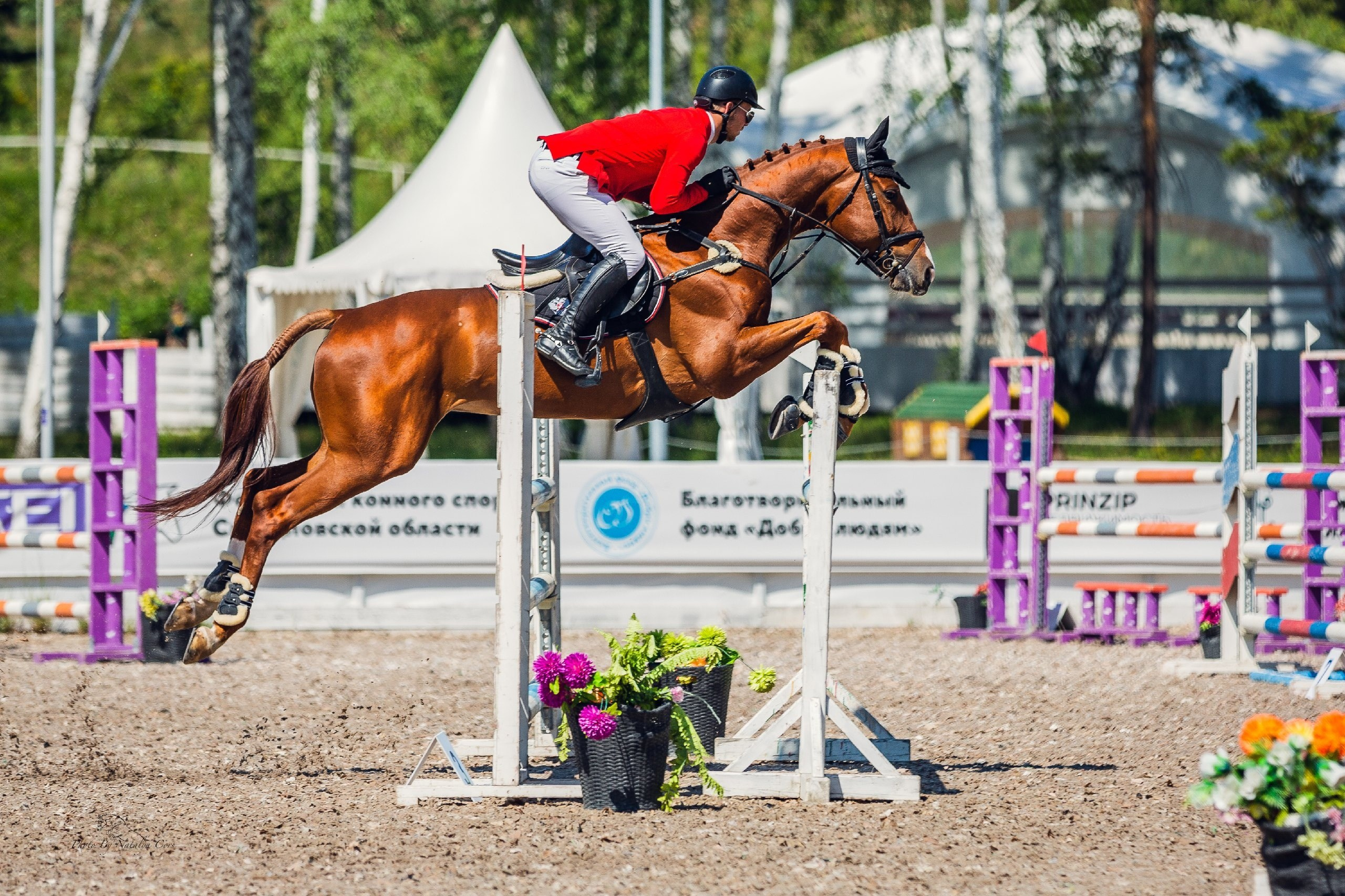 турнирный конный фотограф Екатеринбург, фото с соревнований КСК Дубрава, конный фотограф Екатеринбург, конкур, соревнования по конному спорту, Фотограф анималист Екатеринбург