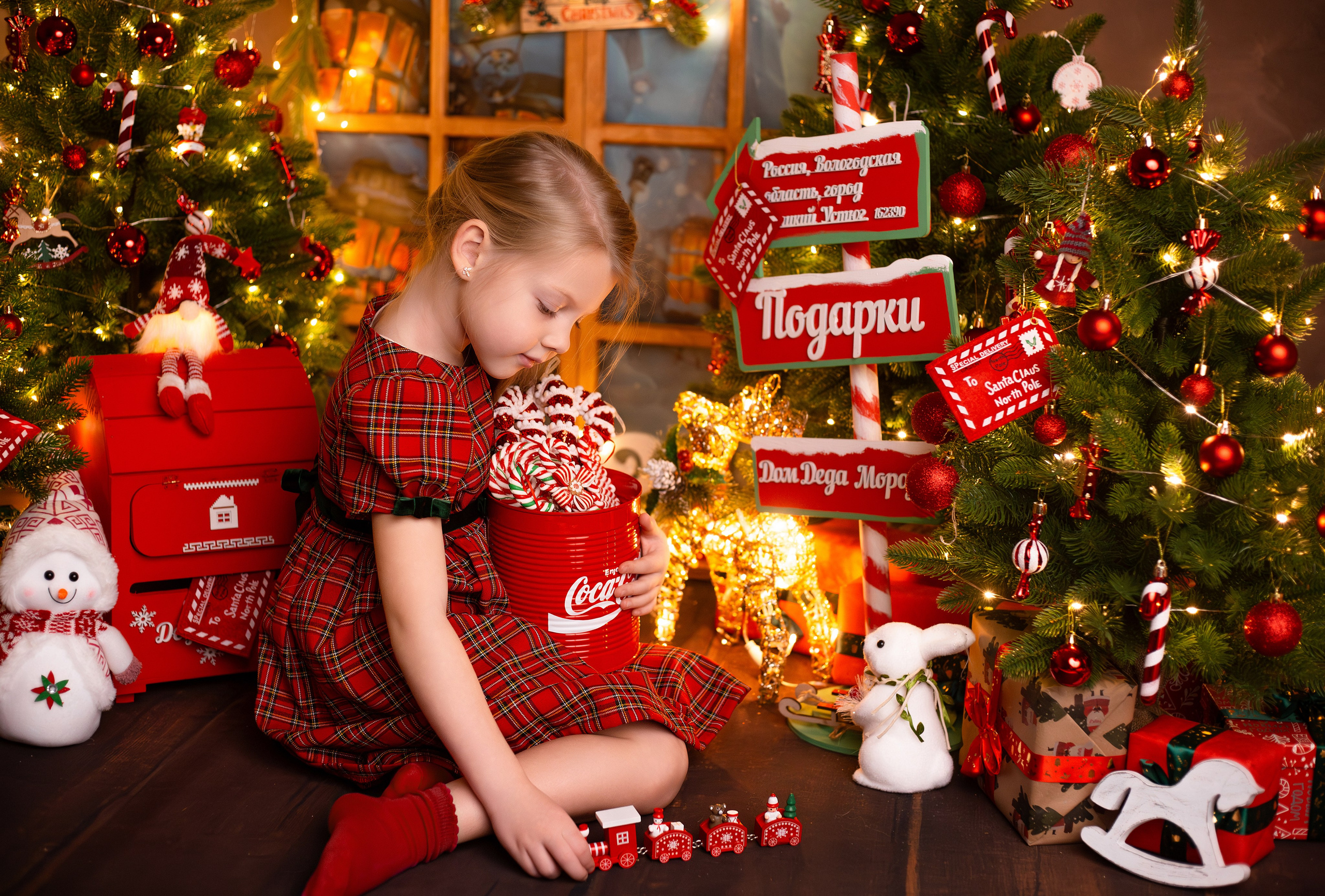 Фотопроекты. Детский фотограф в Няндоме Ариана Арсеньева