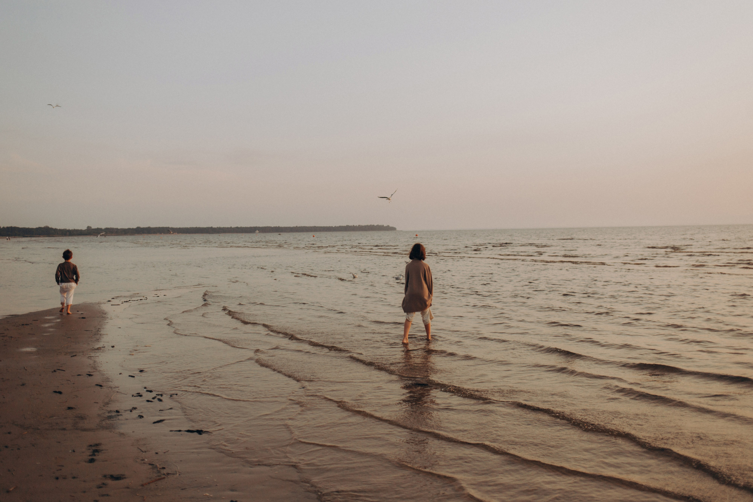 🤎. Семейный фотограф Виолла Платонова Белгород