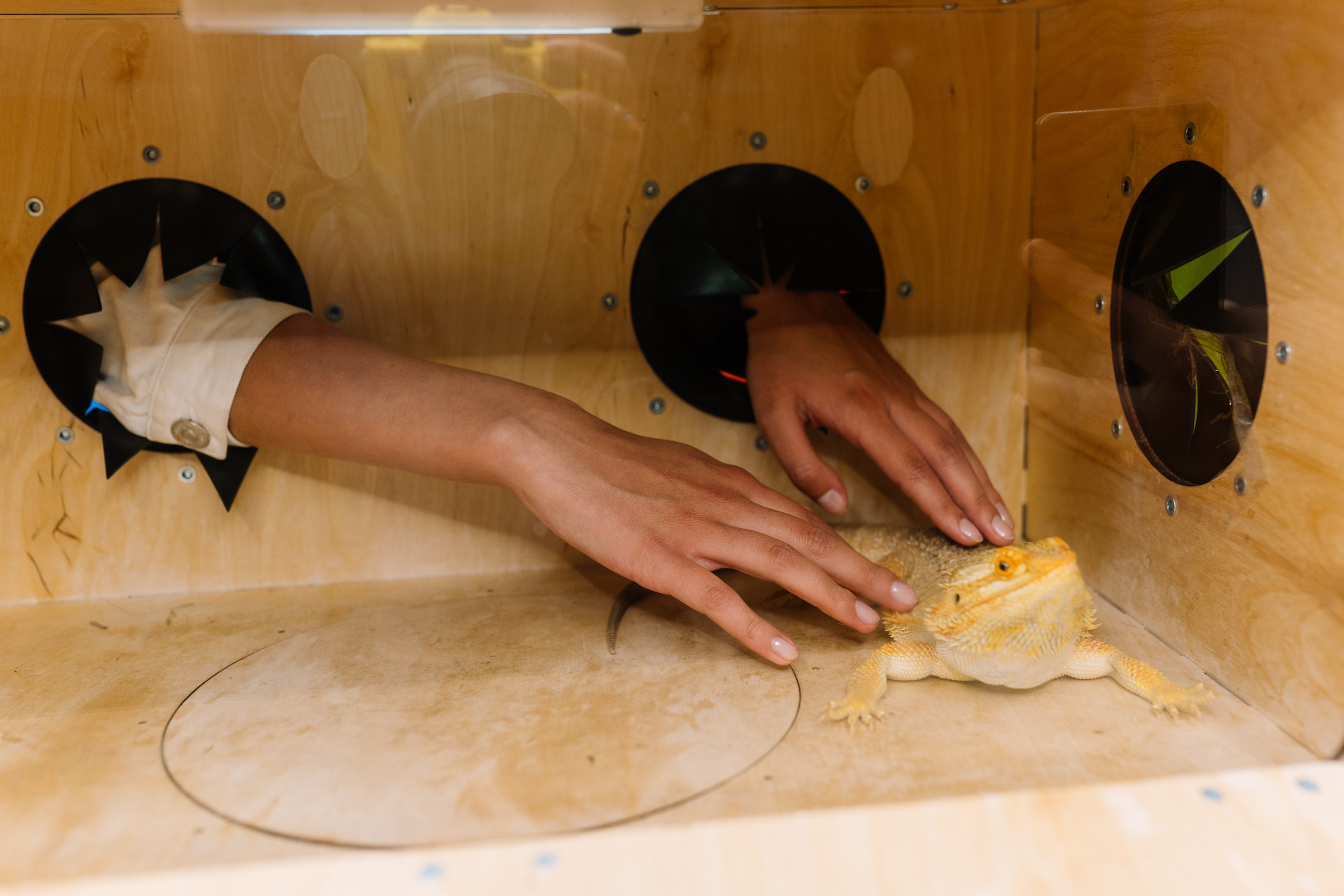 Выпускной 61 школа