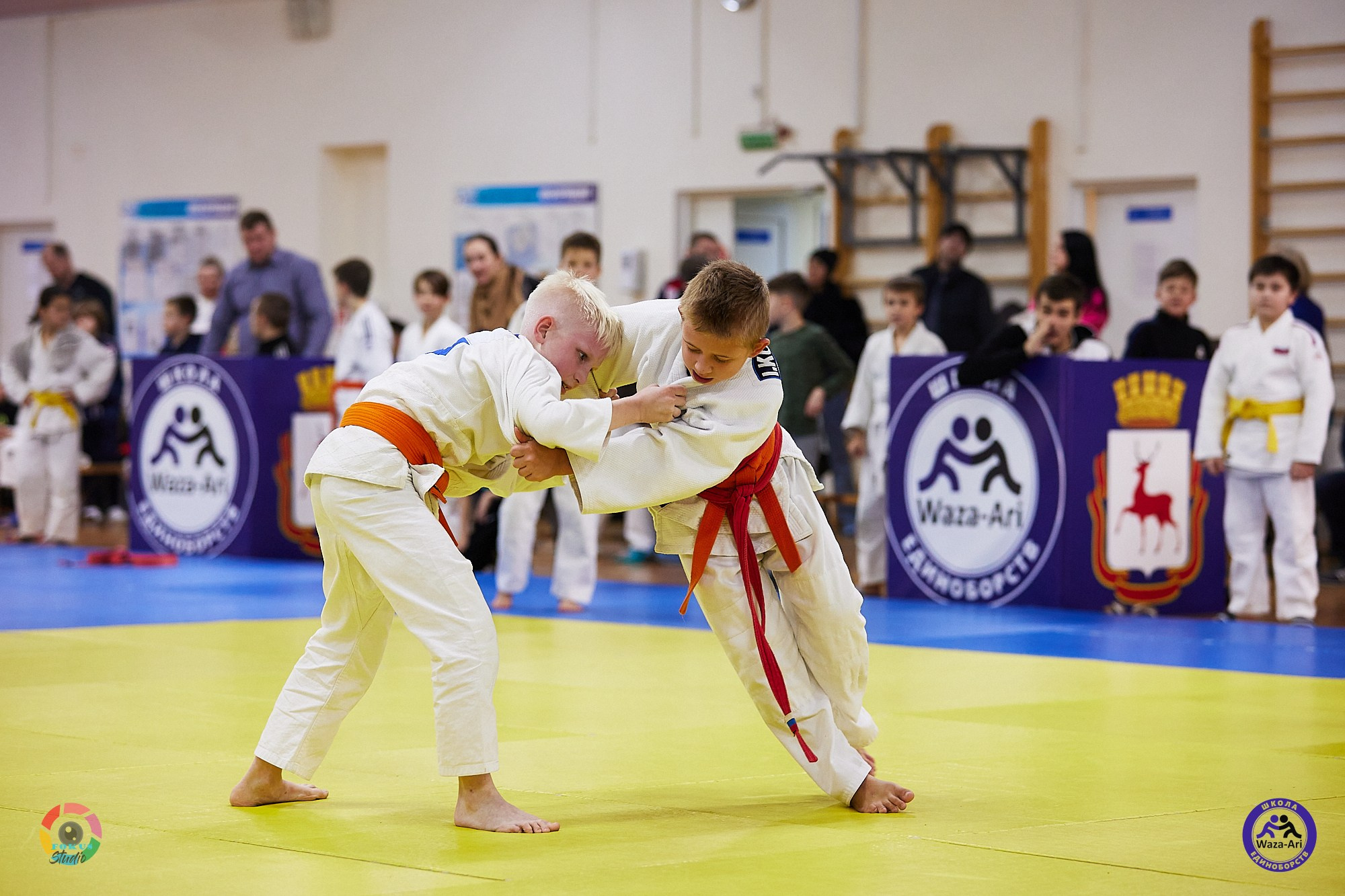 Репортаж Турнир по дзюдо. Спортивный фотограф Некрасов Денис