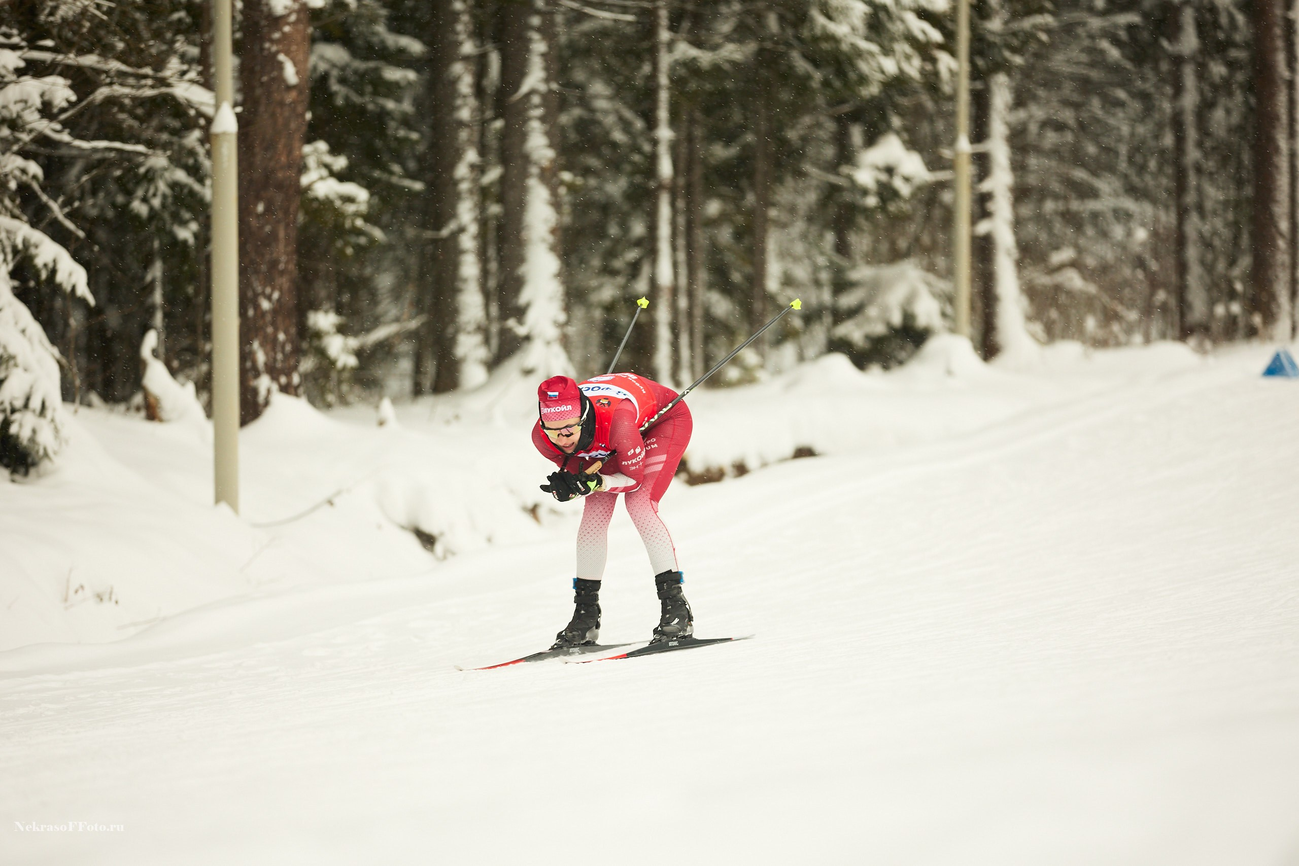 Кубок России по Лыжным гонкам. Спортивный фотограф Некрасов Денис