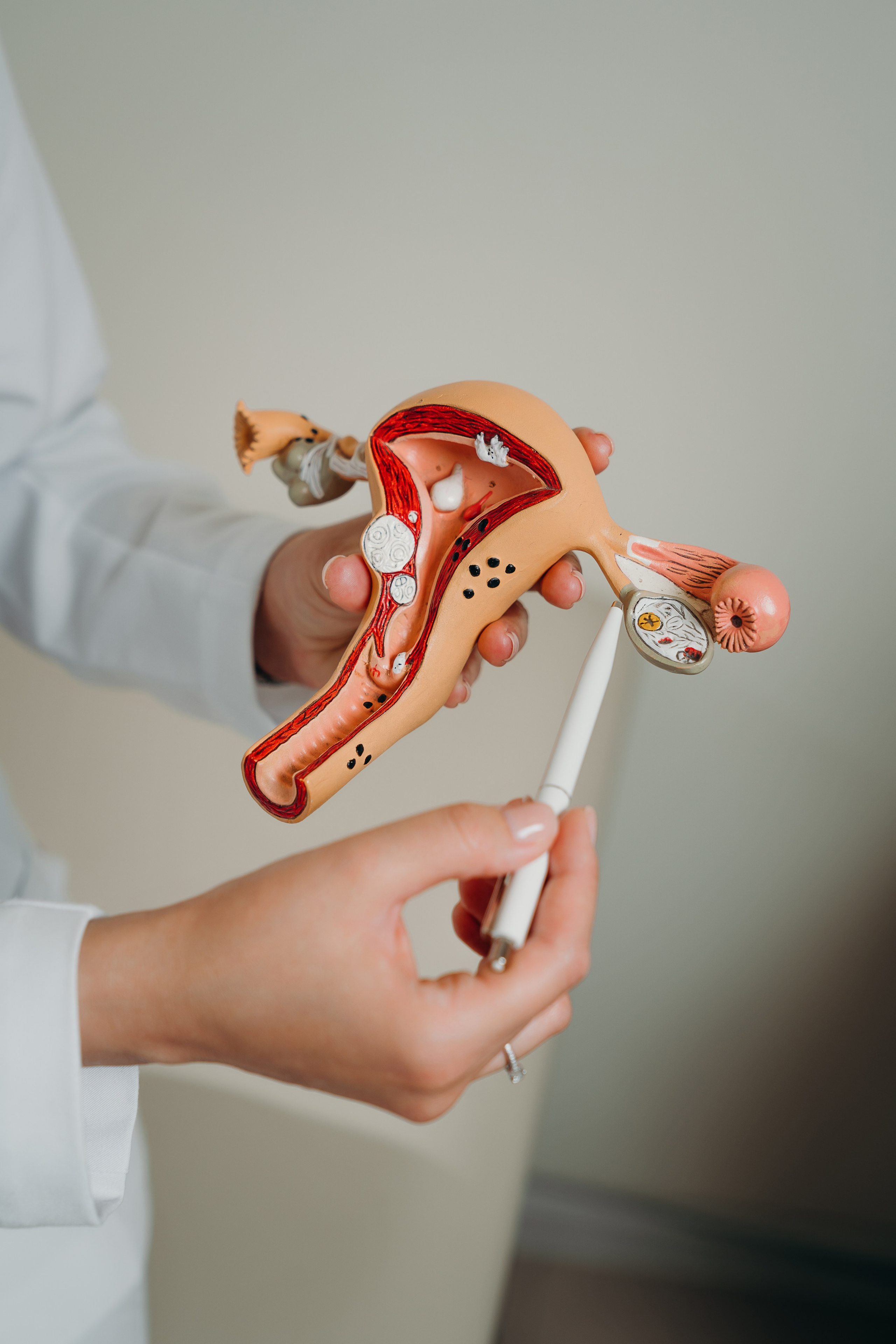 Врач гинеколог, репродуктолог. Контентный и свадебный фотограф в Краснодаре и Сочи Елена Плотникова