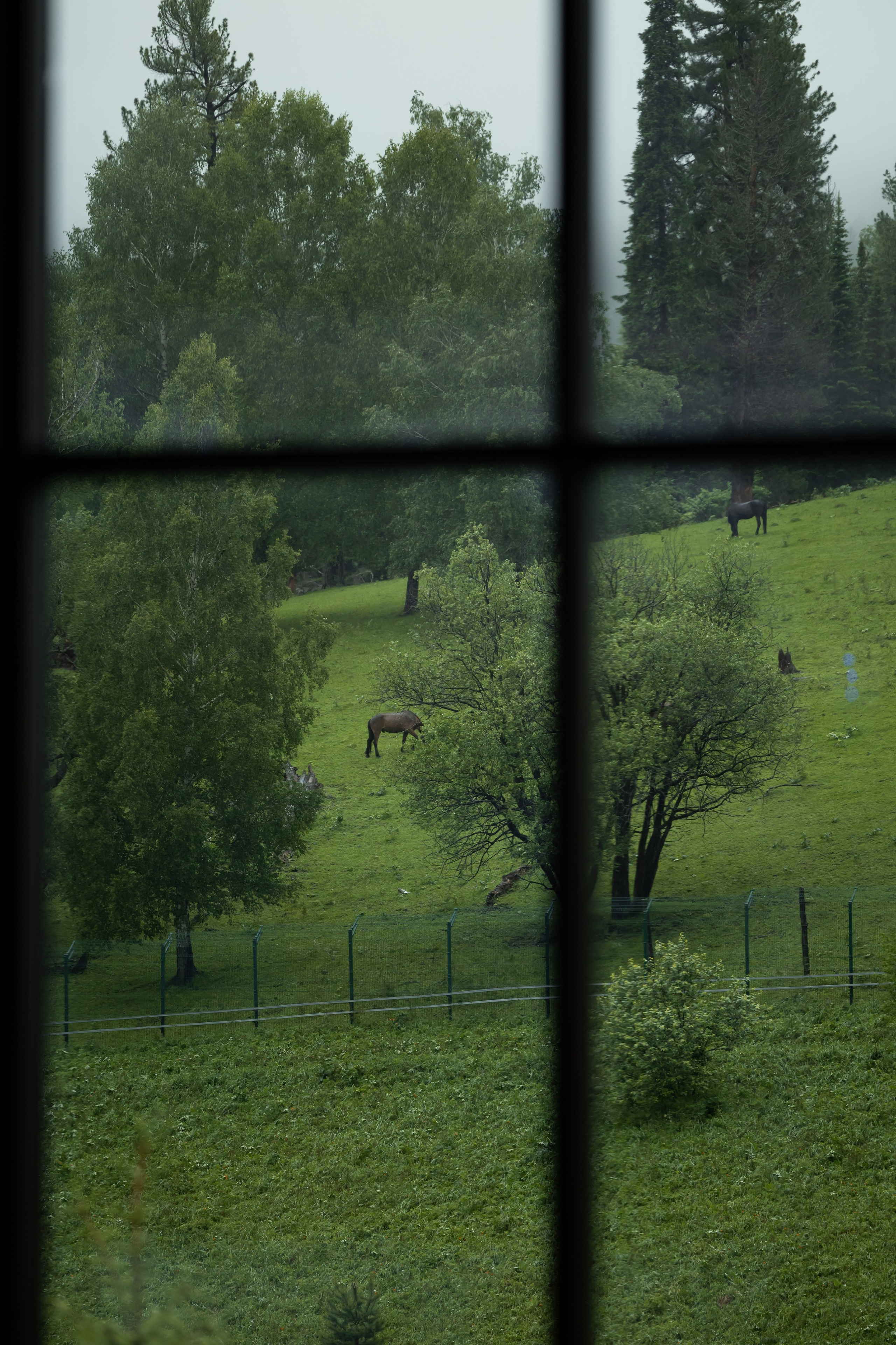 Алтай Бизнес-клуб «Новые Горизонты». Фотограф Москва Людмила Белова