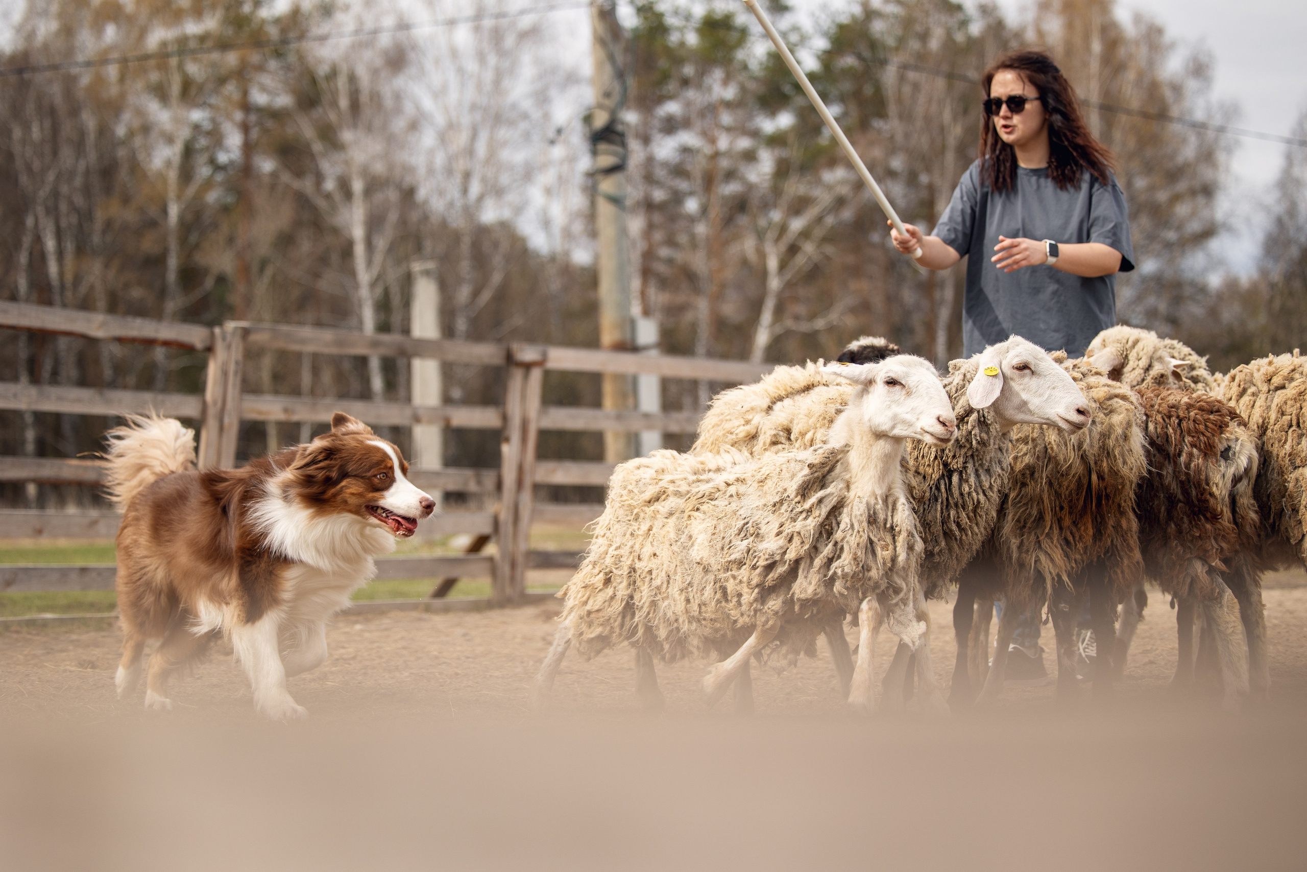 Анна и Вуди. YULA KOLESOVA | Фотограф — Анималист | Художник | Тюмень
