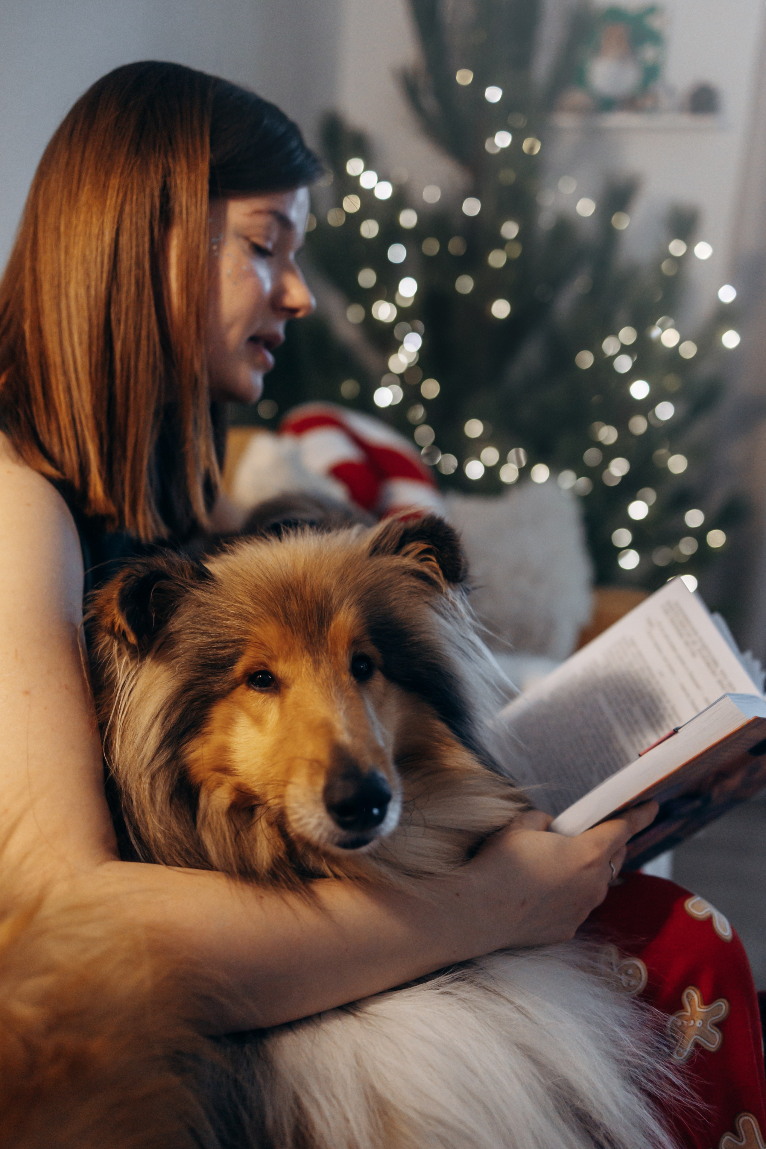 Юлиана, Элли и Райан. YULA KOLESOVA | Фотограф — Анималист | Художник | Тюмень