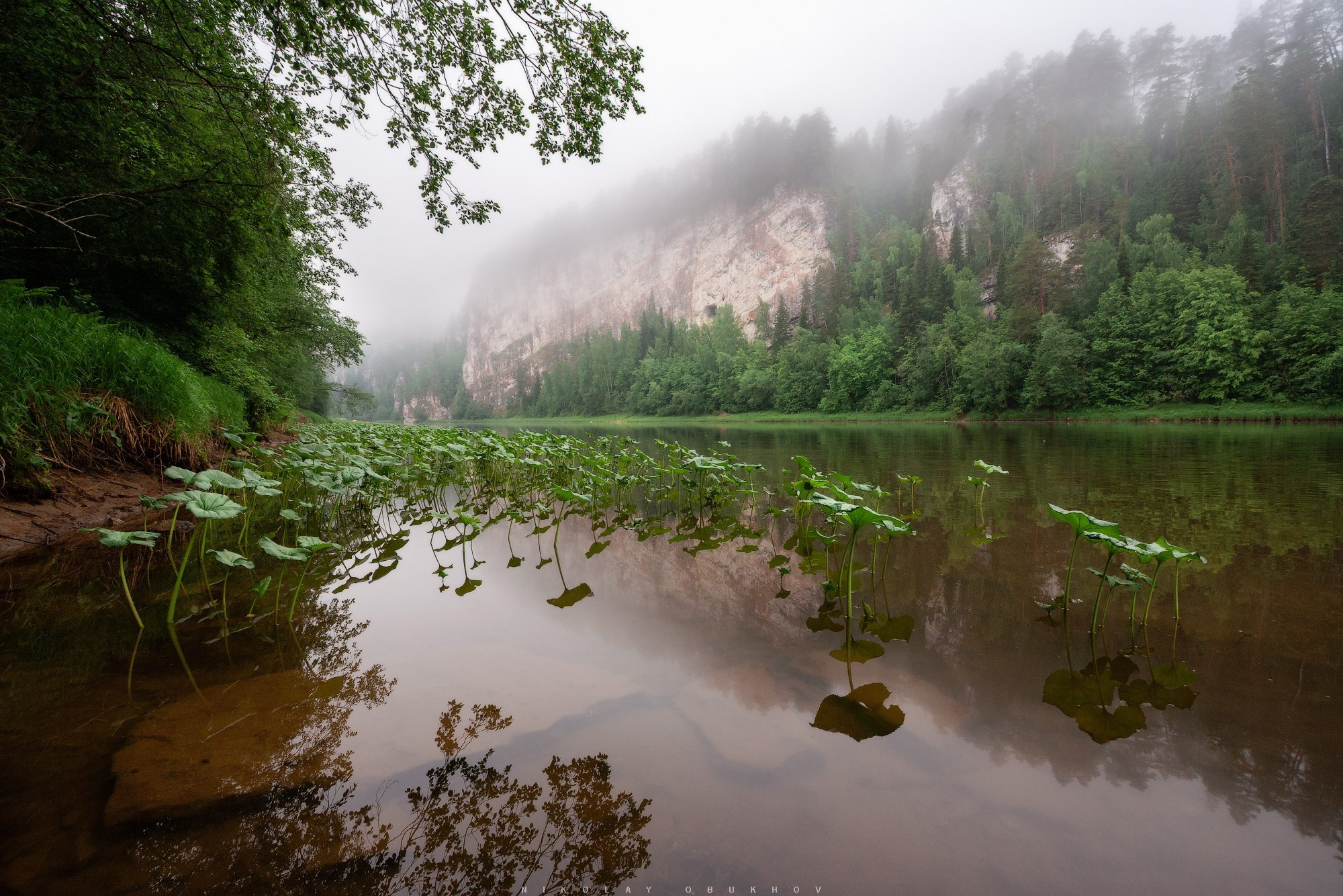 Туман поднимается над скалой с пещерой Скалолазов