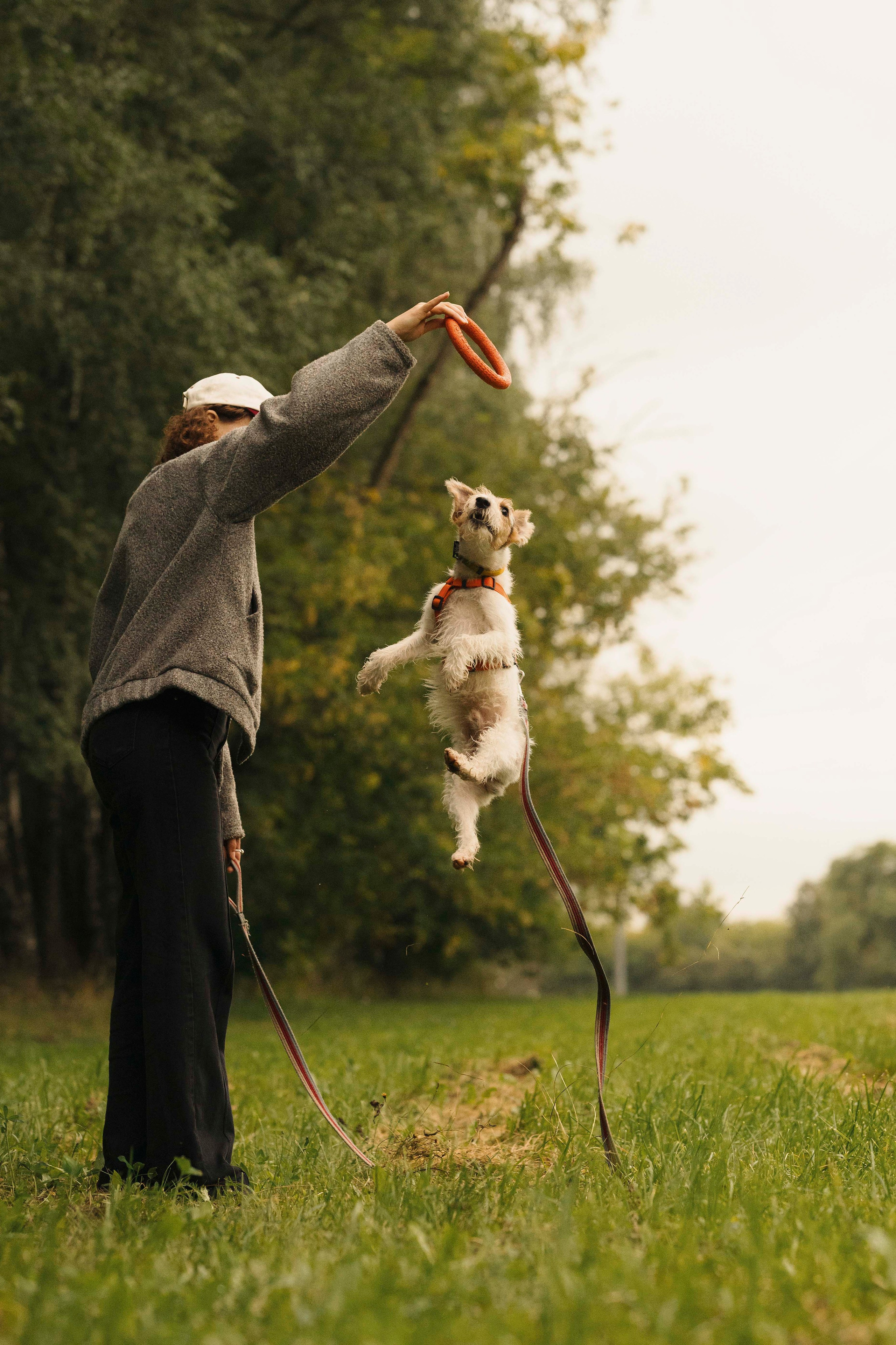 Мартин. Фотограф- анималист Александра Матвеева
