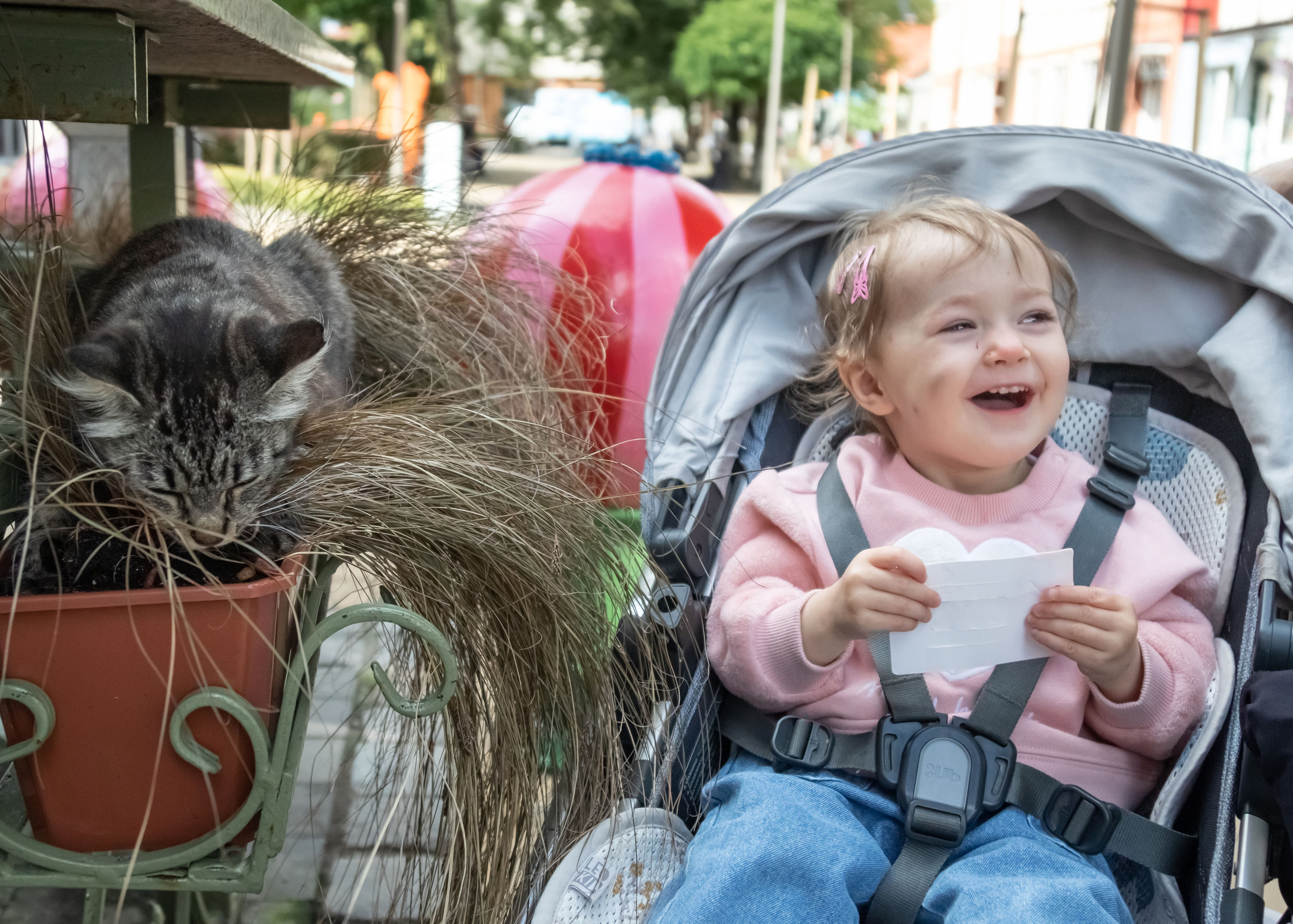 Джинсово-шляпный десант. Фотограф Зеленоградск Лиана Сопина