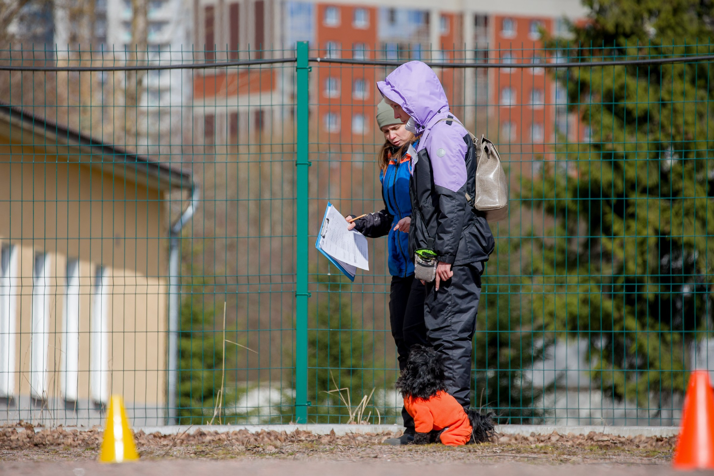 Соревнования «Пошагаем?» от школы дрессировки «Шаги». Irenephoto.ru