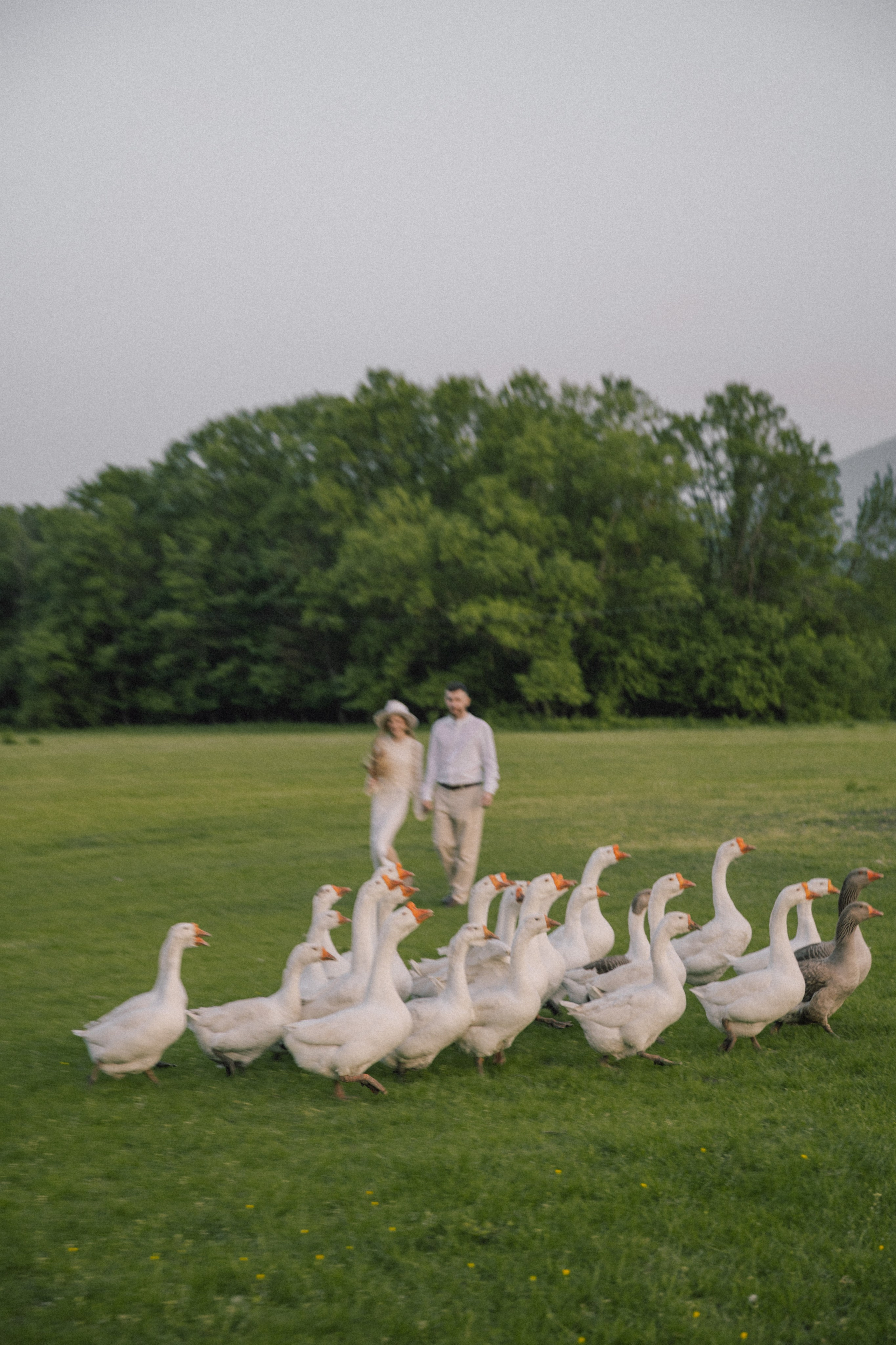 Владимировка. Фотограф Краснодар Юлия Бураченко Свадьбы Репортаж Семейные Индивидуальные съемки