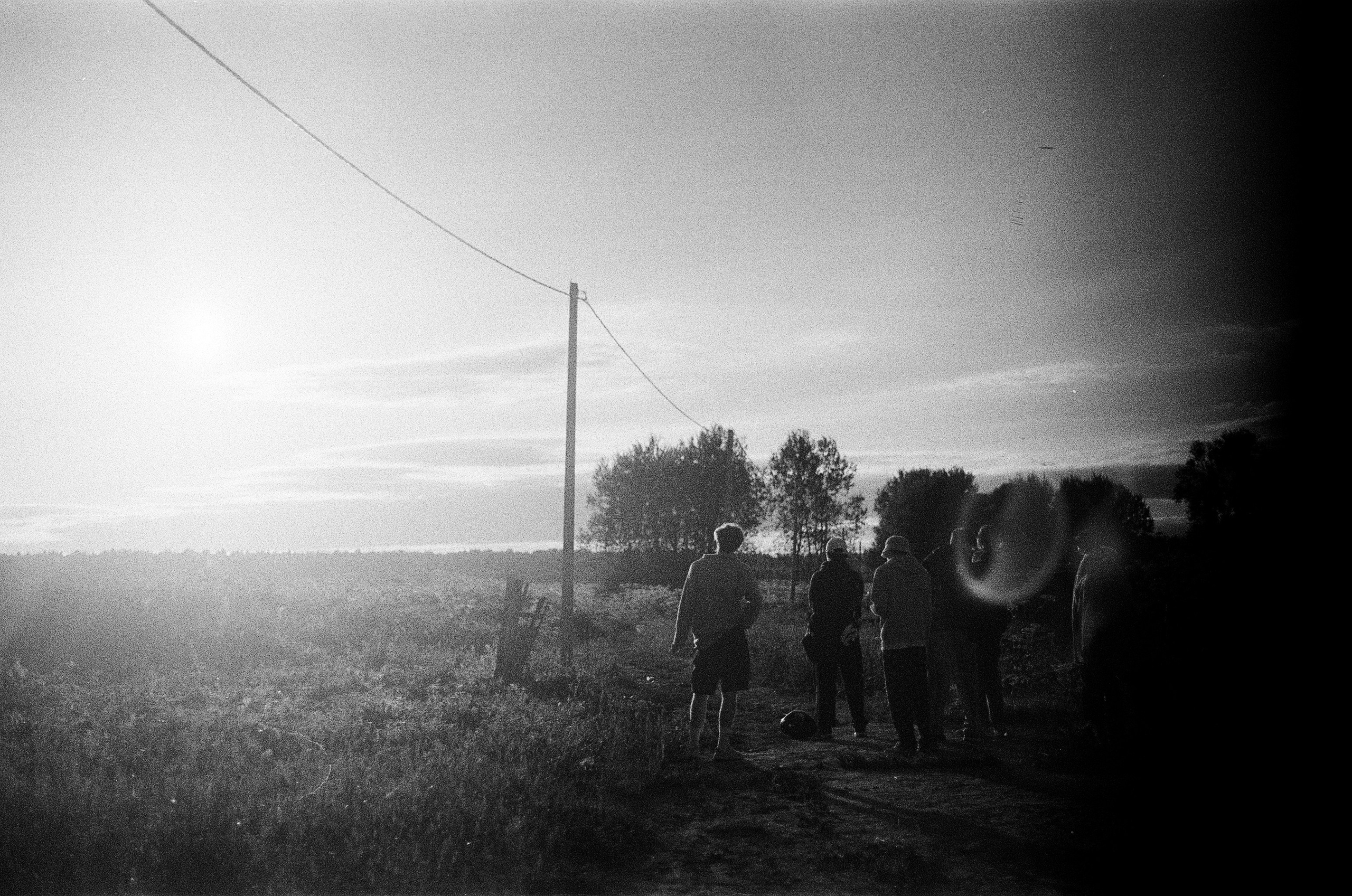 Film chronicle. Kosky ilya