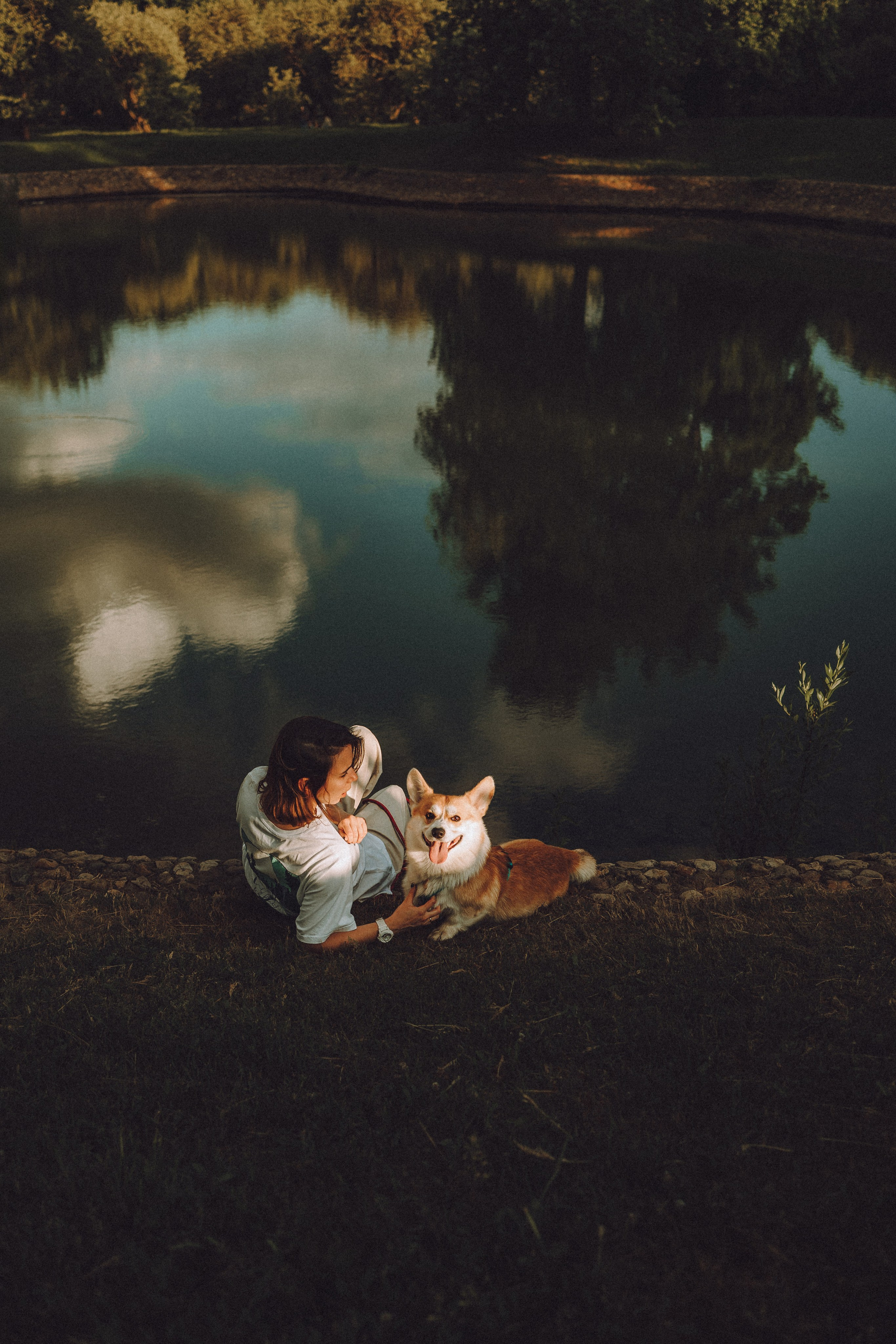 Вирджик и его семья