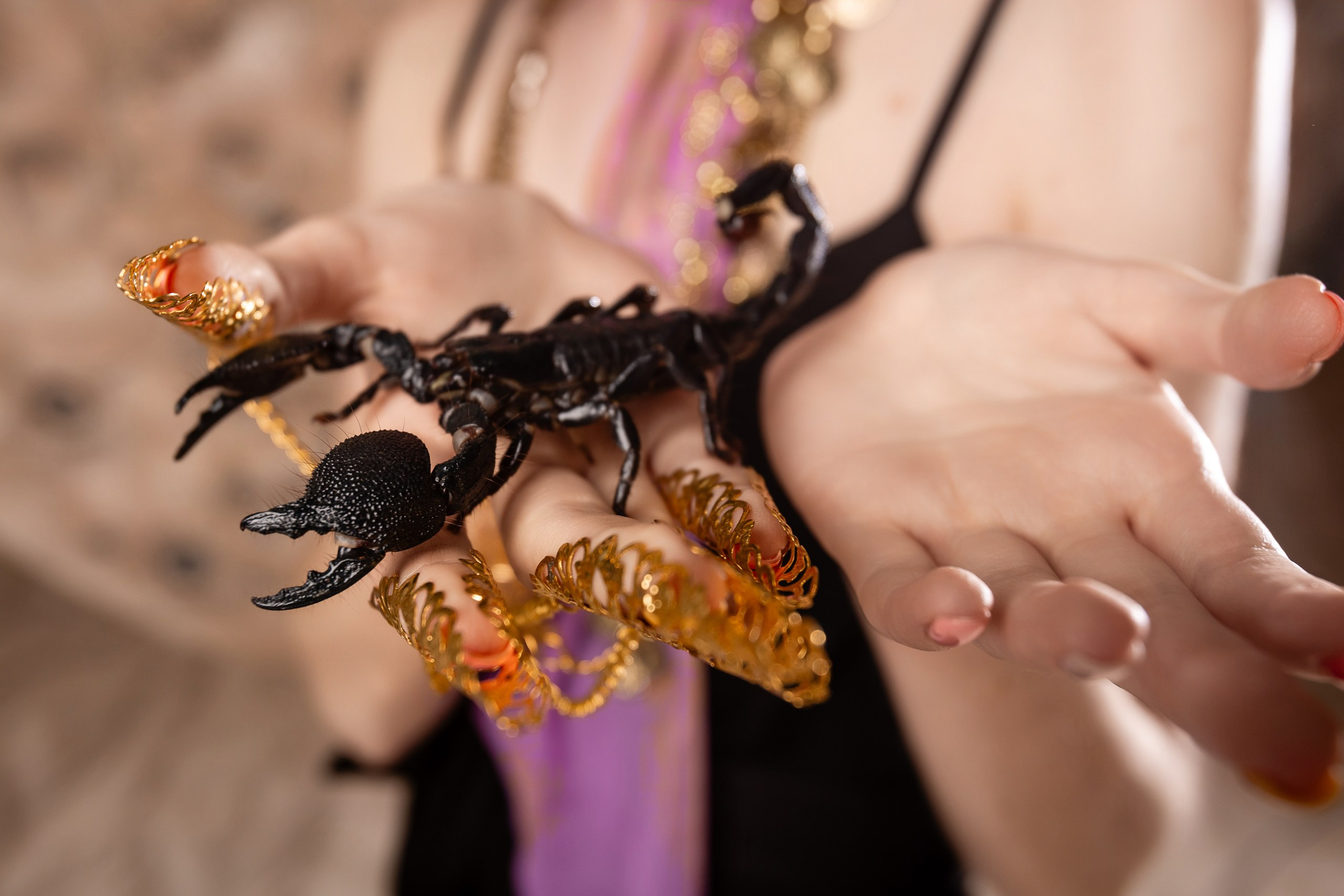Фотосессия с ящерицами и скорпионами в Восточном стиле. Фотограф в Санкт-Петербурге — Сергей Петров