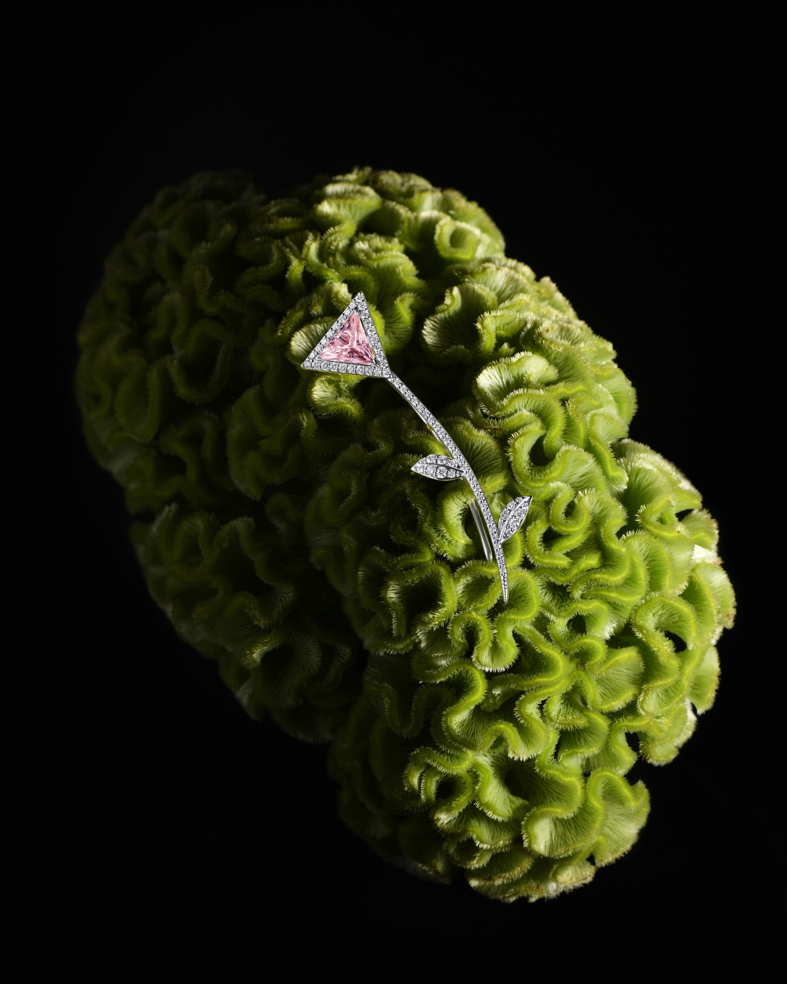 Предметная фотосъемка ювелирных изделий. Ювелирный фотограф