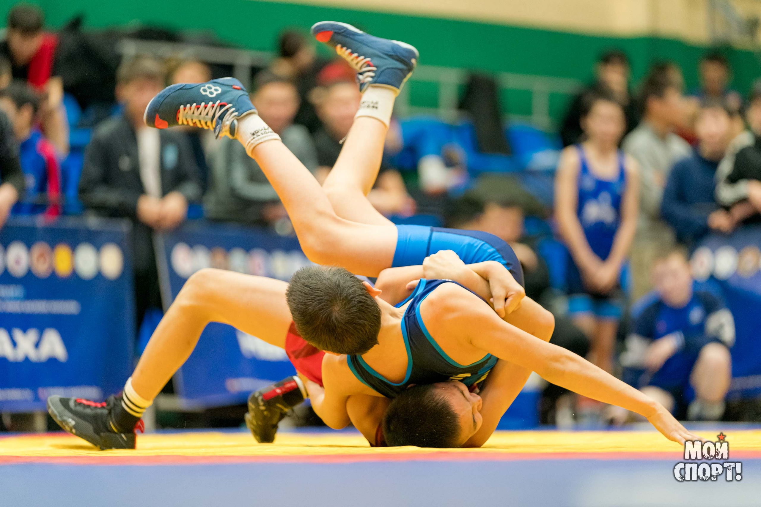 Первенство РС (Я) по греко-римской борьбе пам. Д. Г. Максимова. Студия «Мой Спорт!» — все о спорте в Якутии